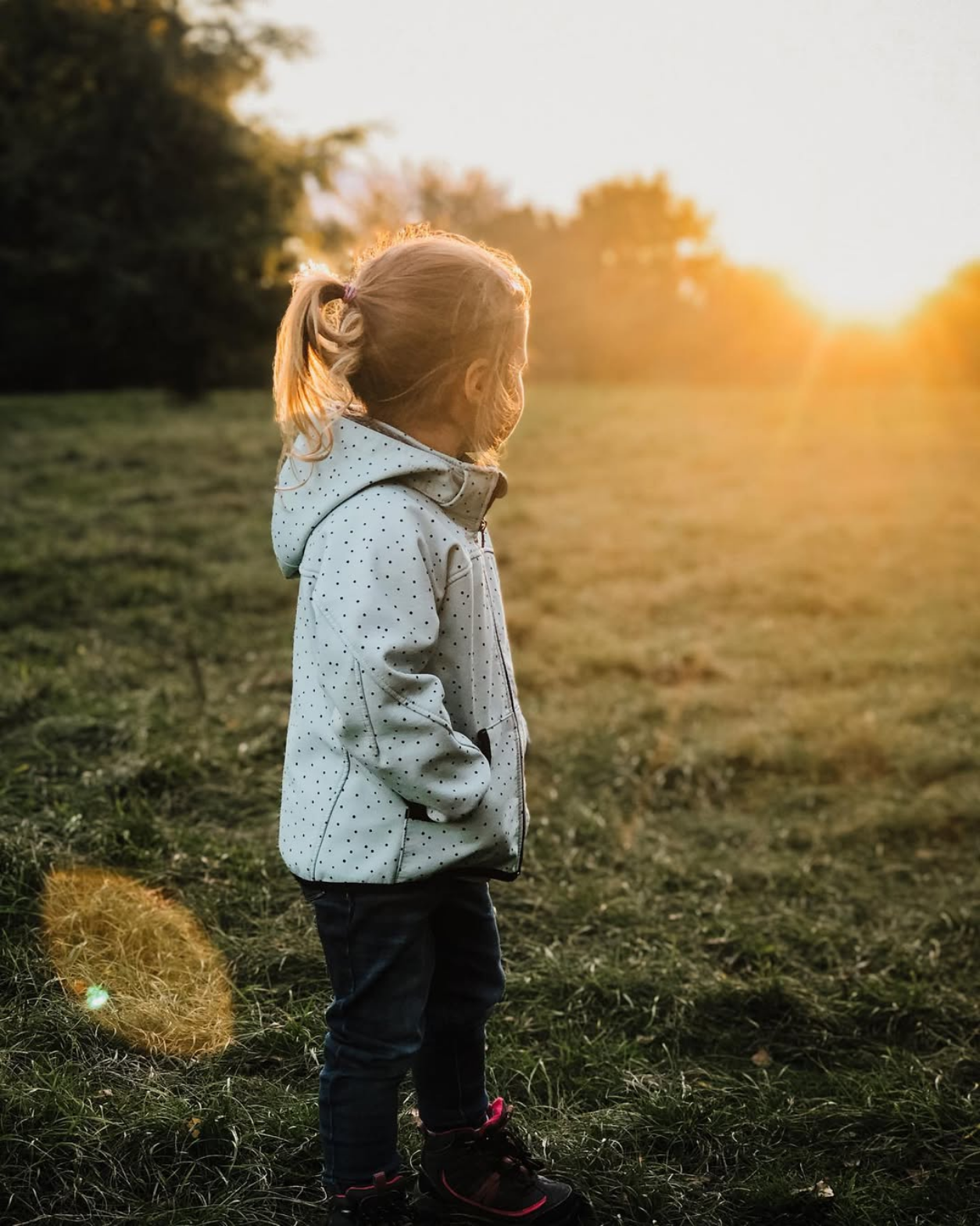 Small child in a gray sweater standing in a grassy field at sunset with golden light glowing in the background.