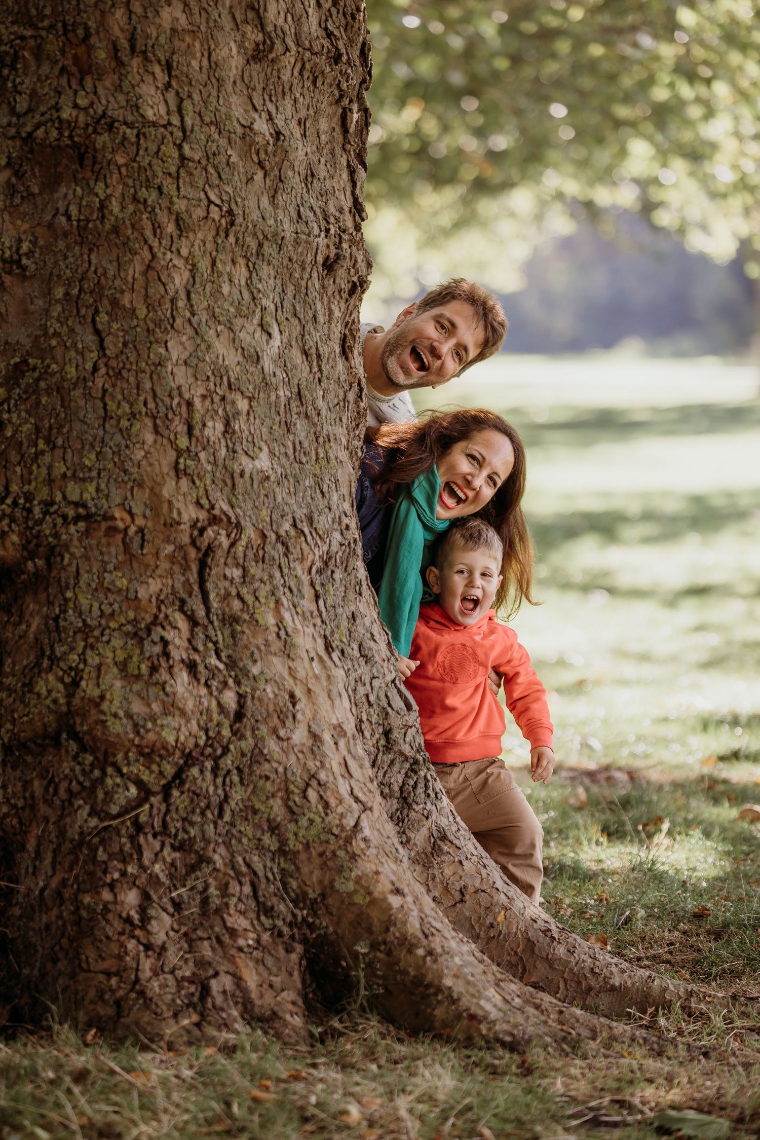 Playful interactions behind a large tree trunk in a sunlit park.