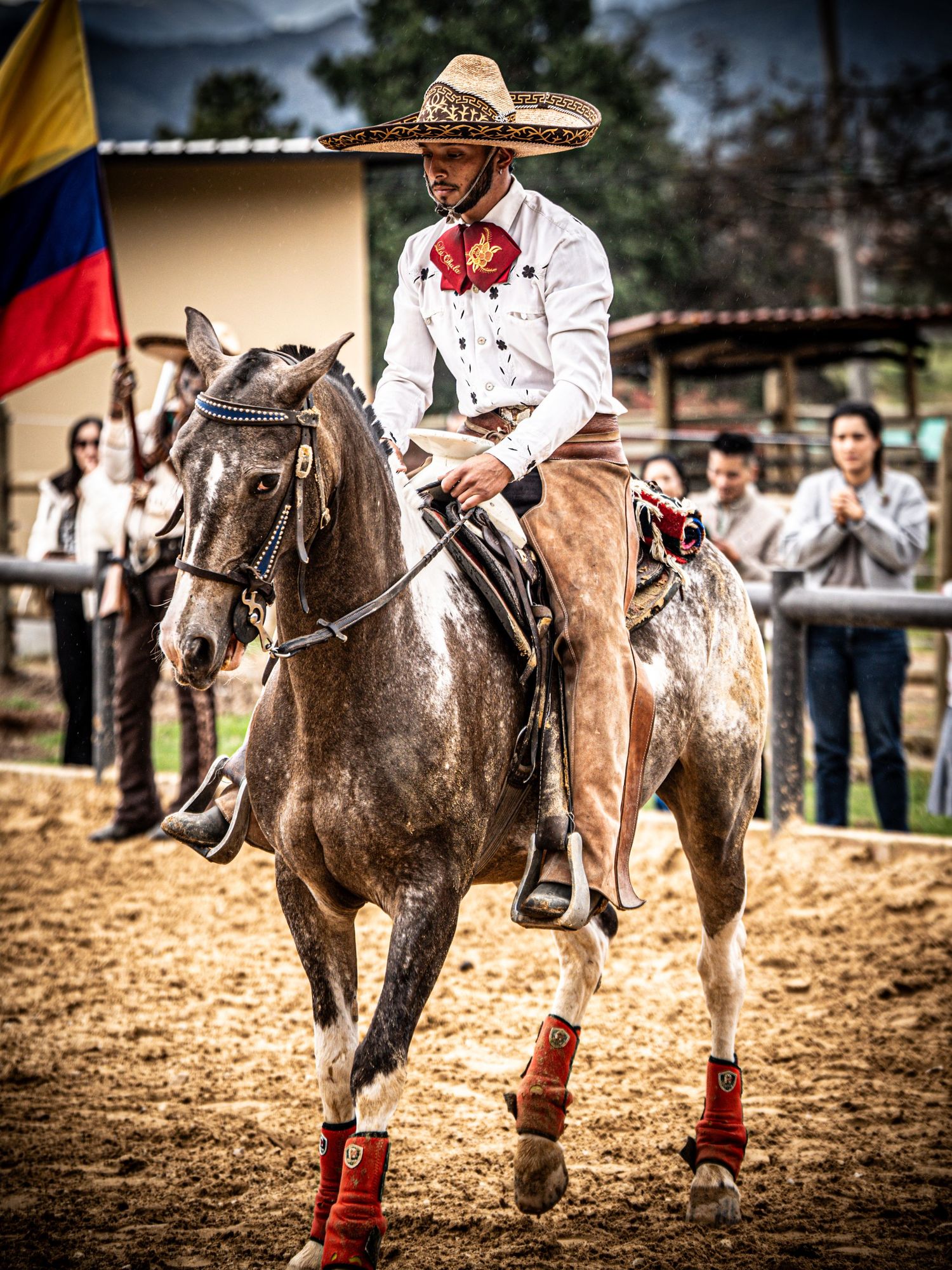 Horse and rider perform intricate footwork during a Mexican charreria competition.
