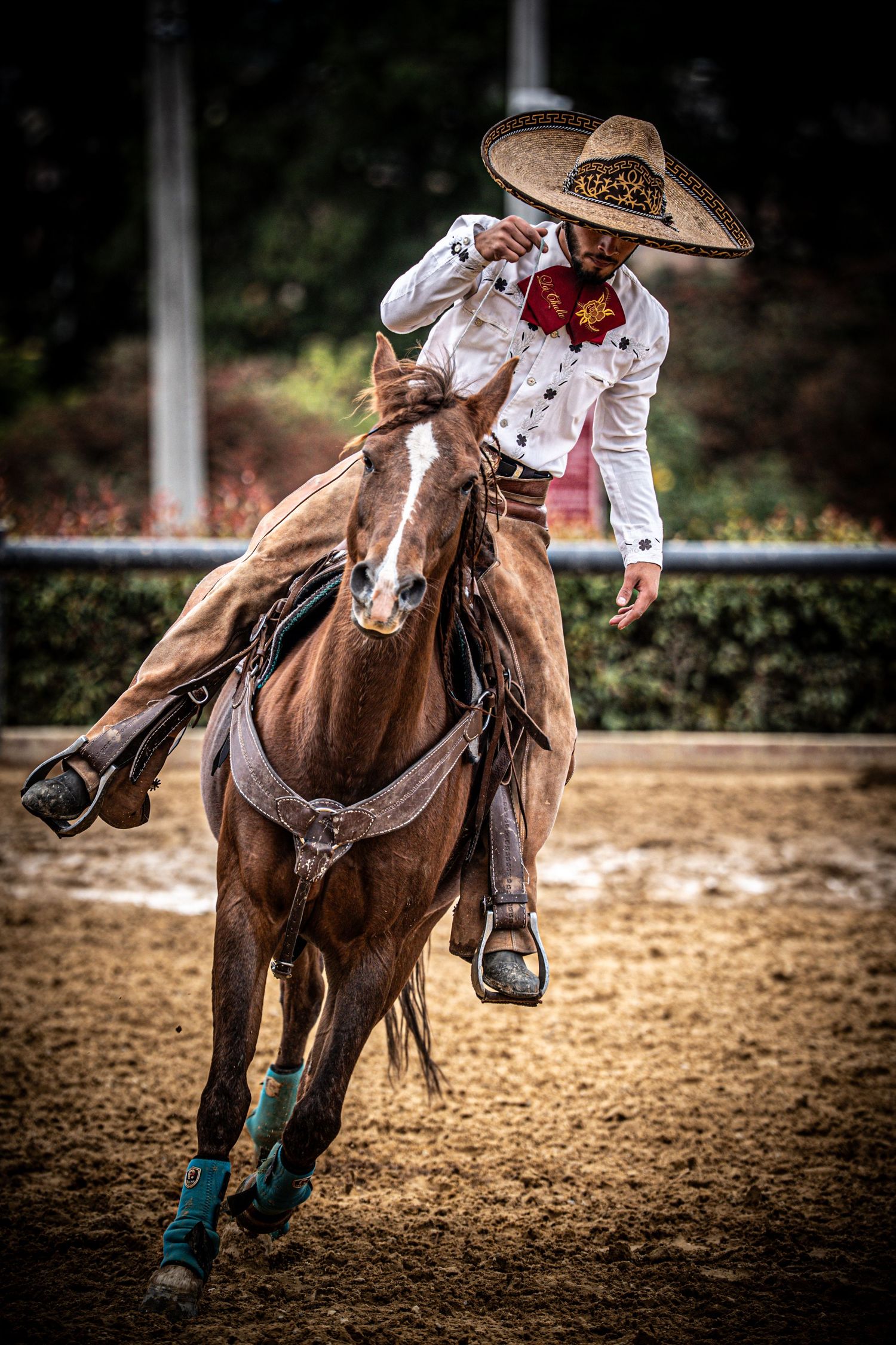 Close-up of horse legs and hooves during a Mexican rodeo performance.