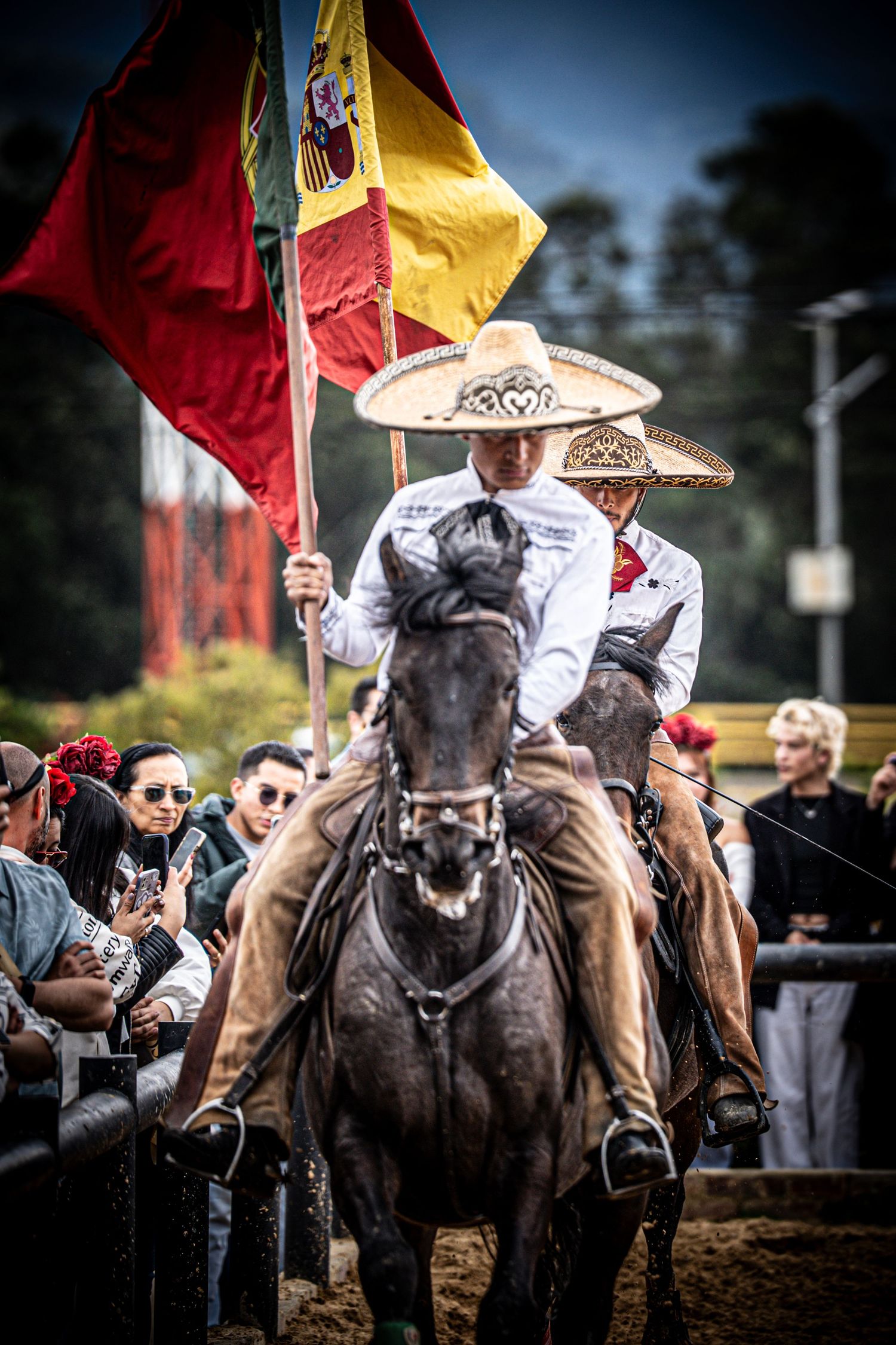 A horse show event with colorful flags and spectators watching the performance.