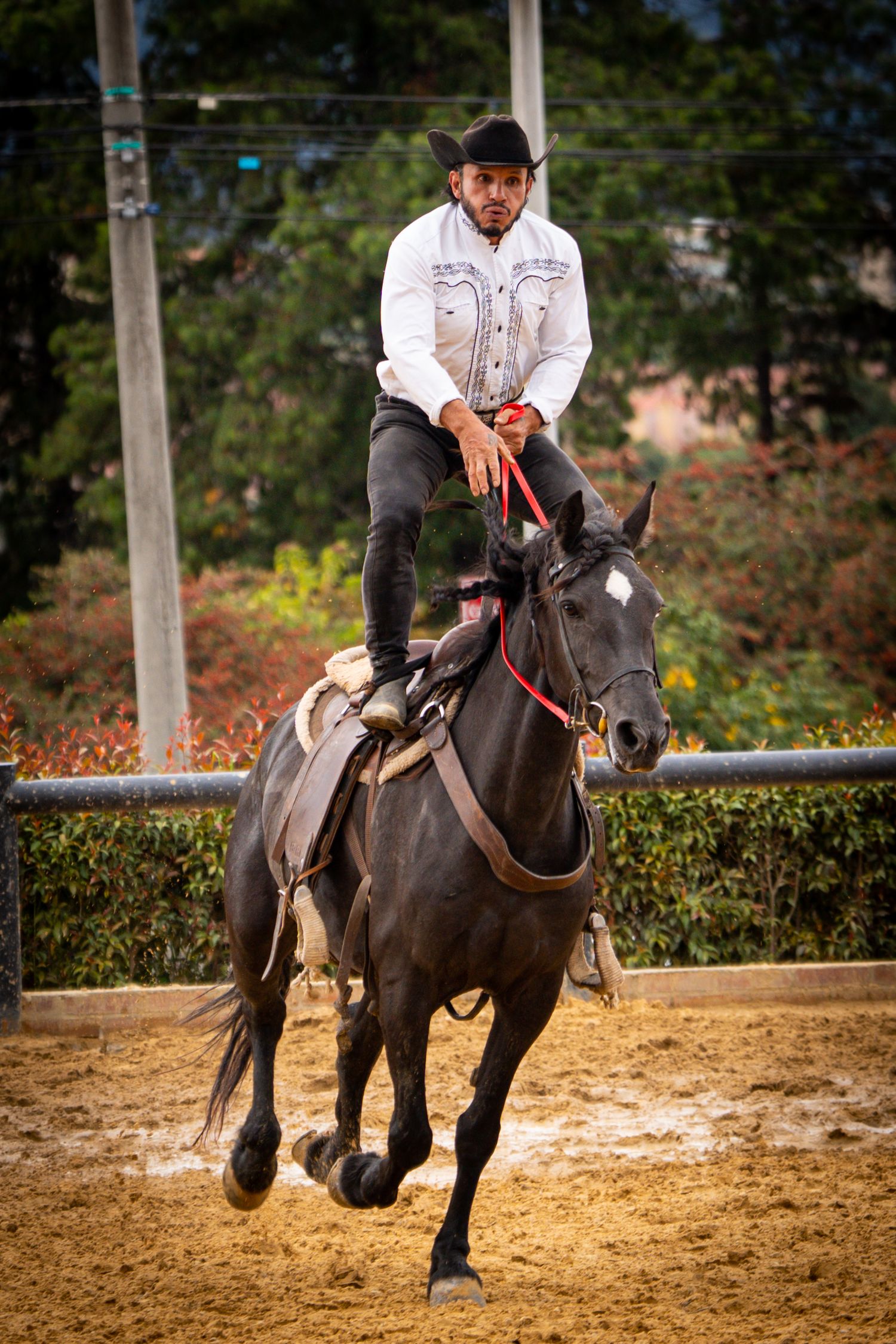 A black horse and rider performing dressage movements in a sandy arena.