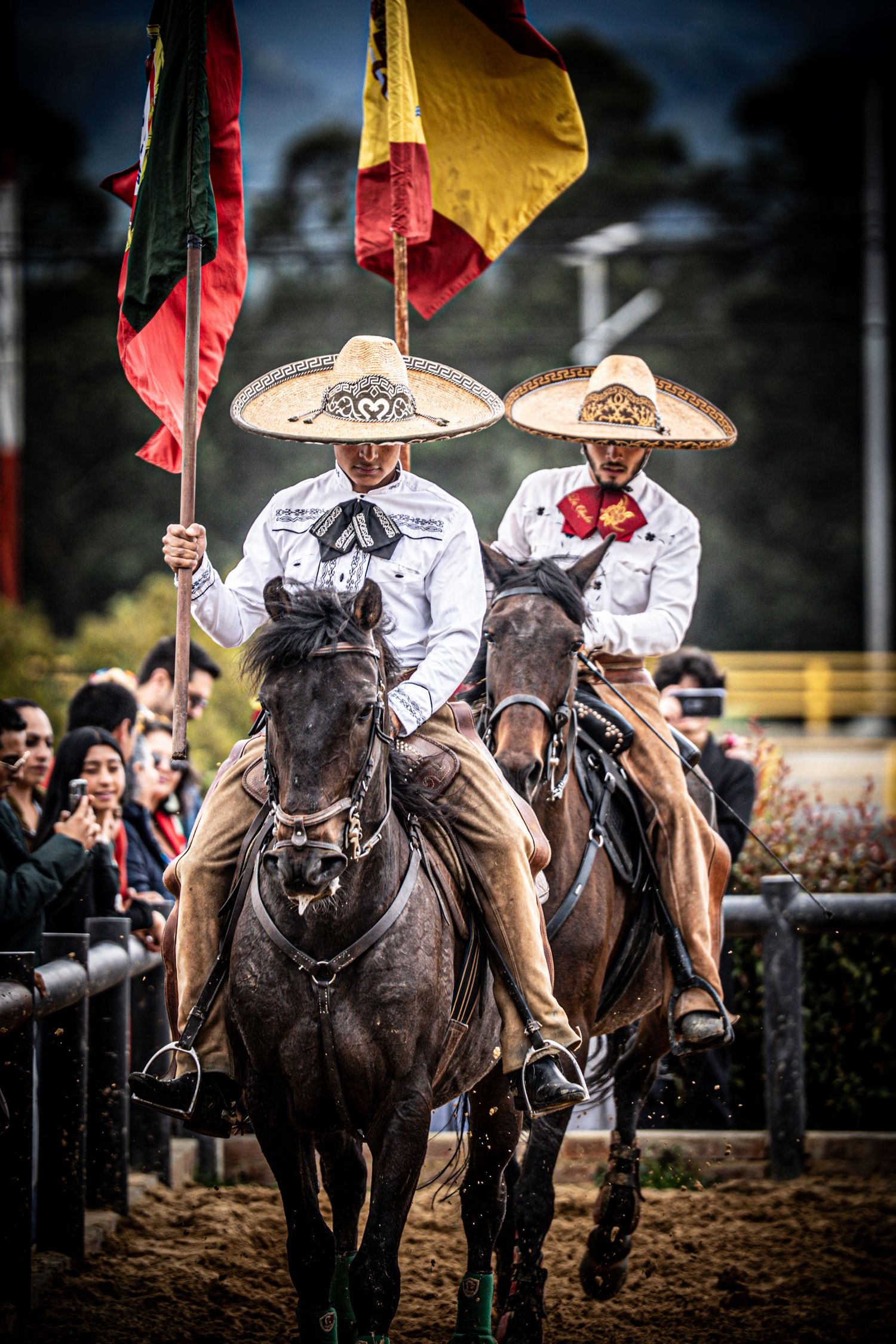 Traditional horseback riders carrying flags during ceremonial performance.