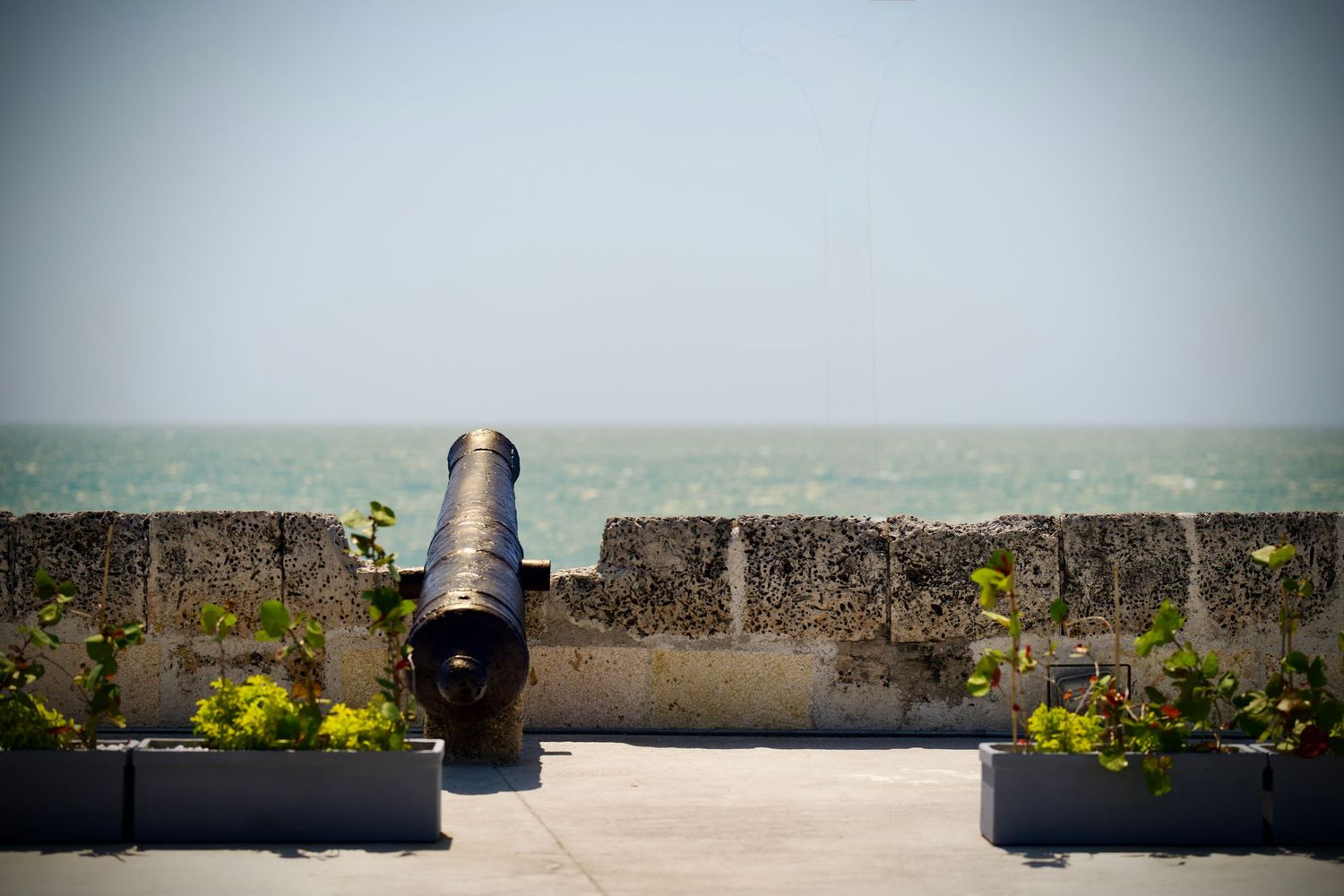 A stone wall with greenery and a misty coastal landscape in the background.