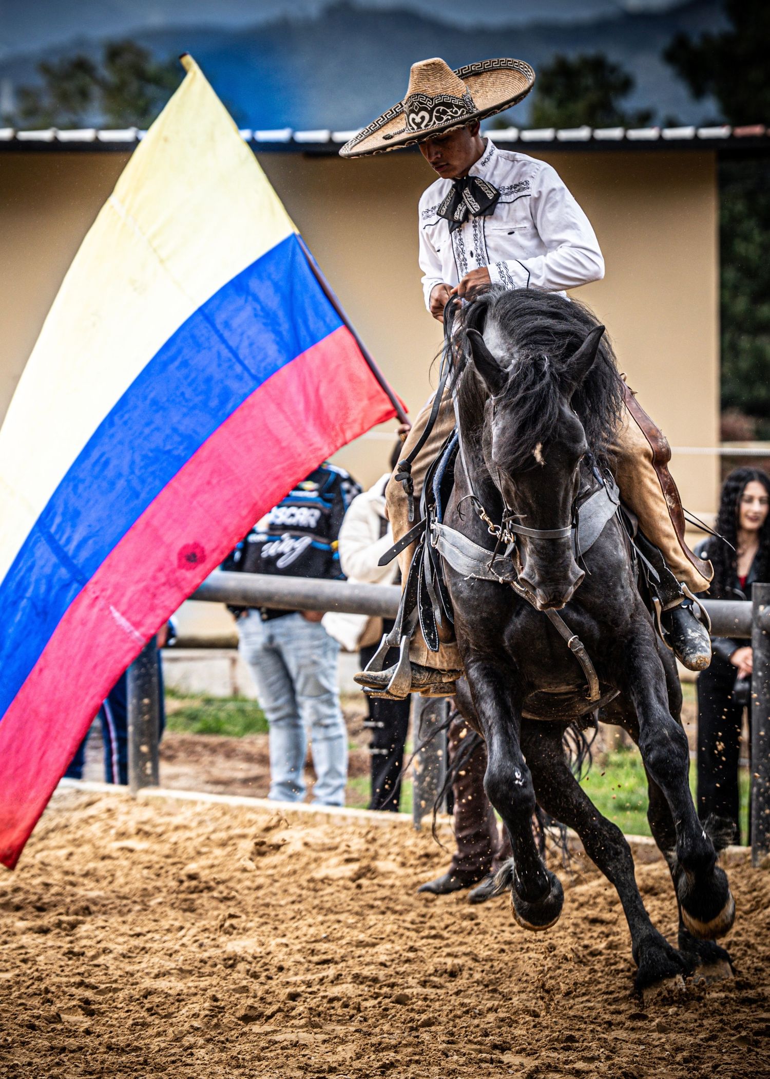 Horse and rider perform alongside Colombian flags during a traditional equestrian show.