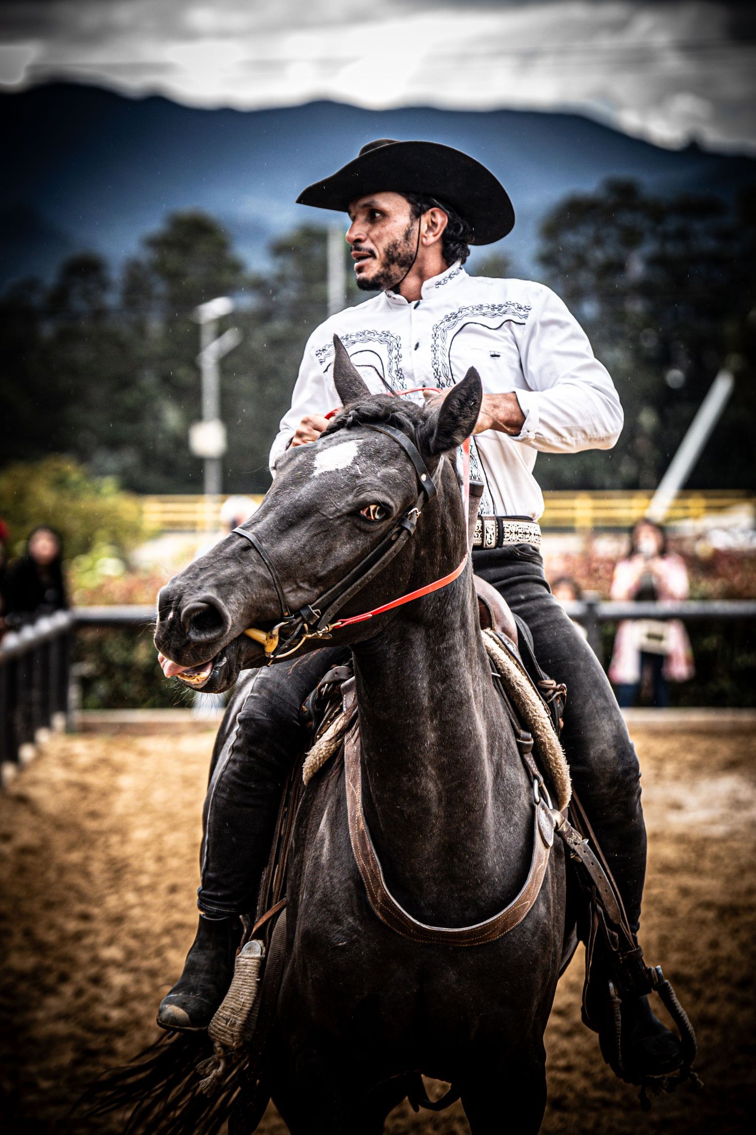 Dramatic action shot of a black horse and rider during a rodeo performance.
