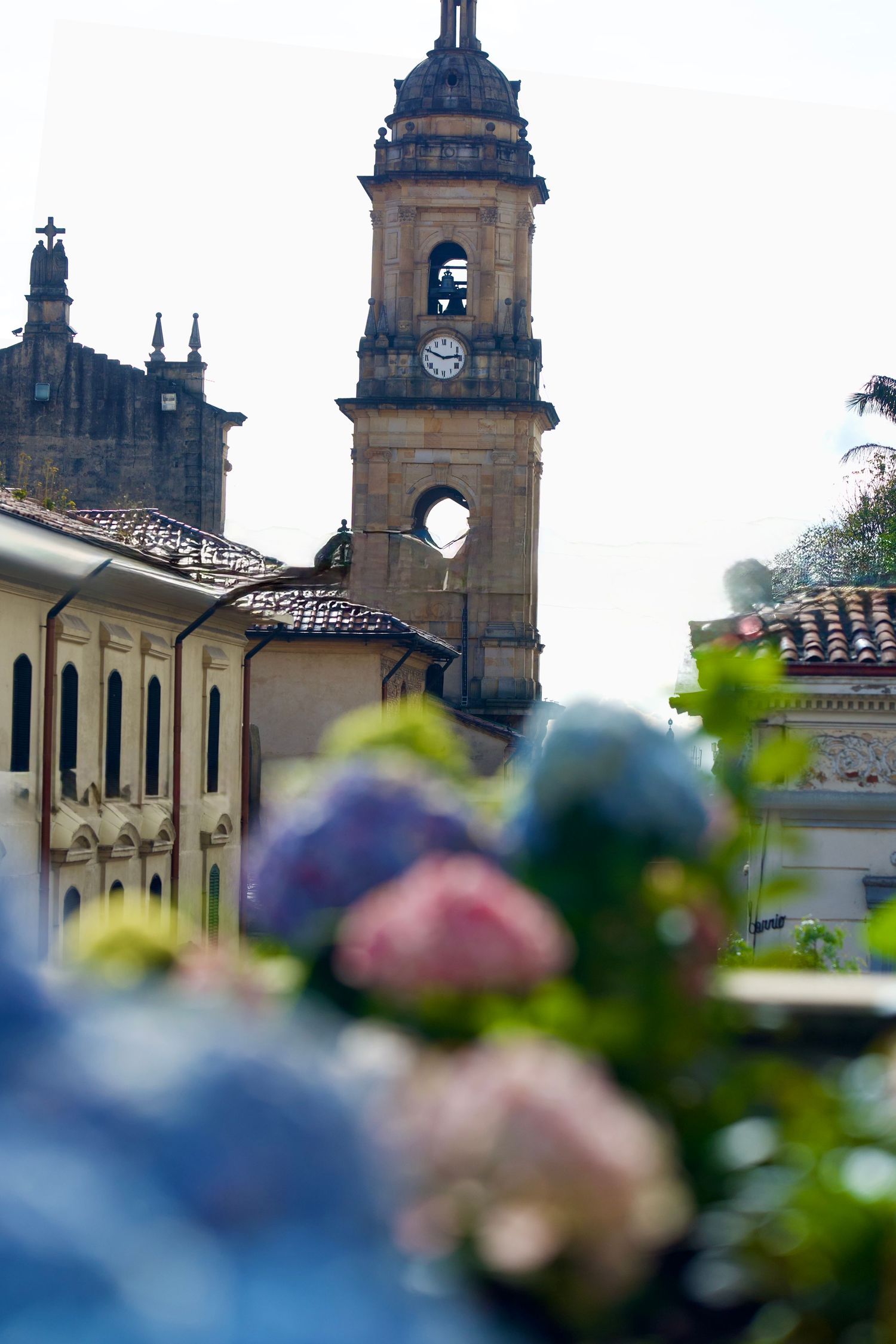 Historic church spires and towers rise against a soft-focus floral foreground.