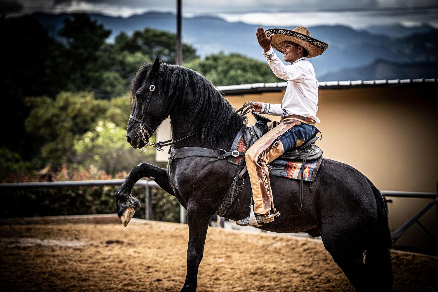 Dynamic shot of horse and rider performing maneuvers in a dirt arena.