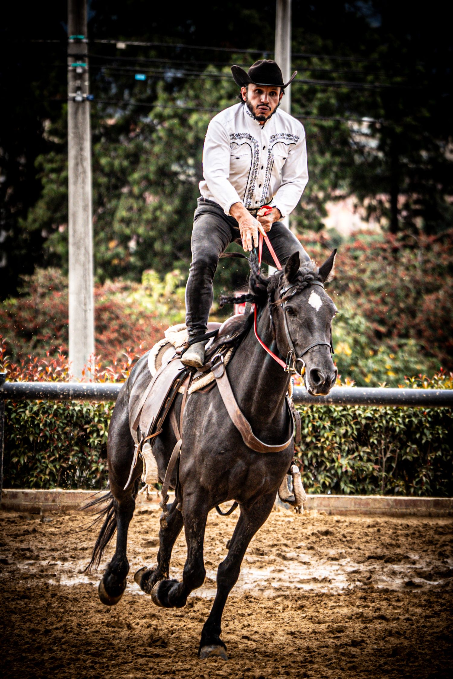 Horseback rider in white shirt guiding black horse through dirt arena.