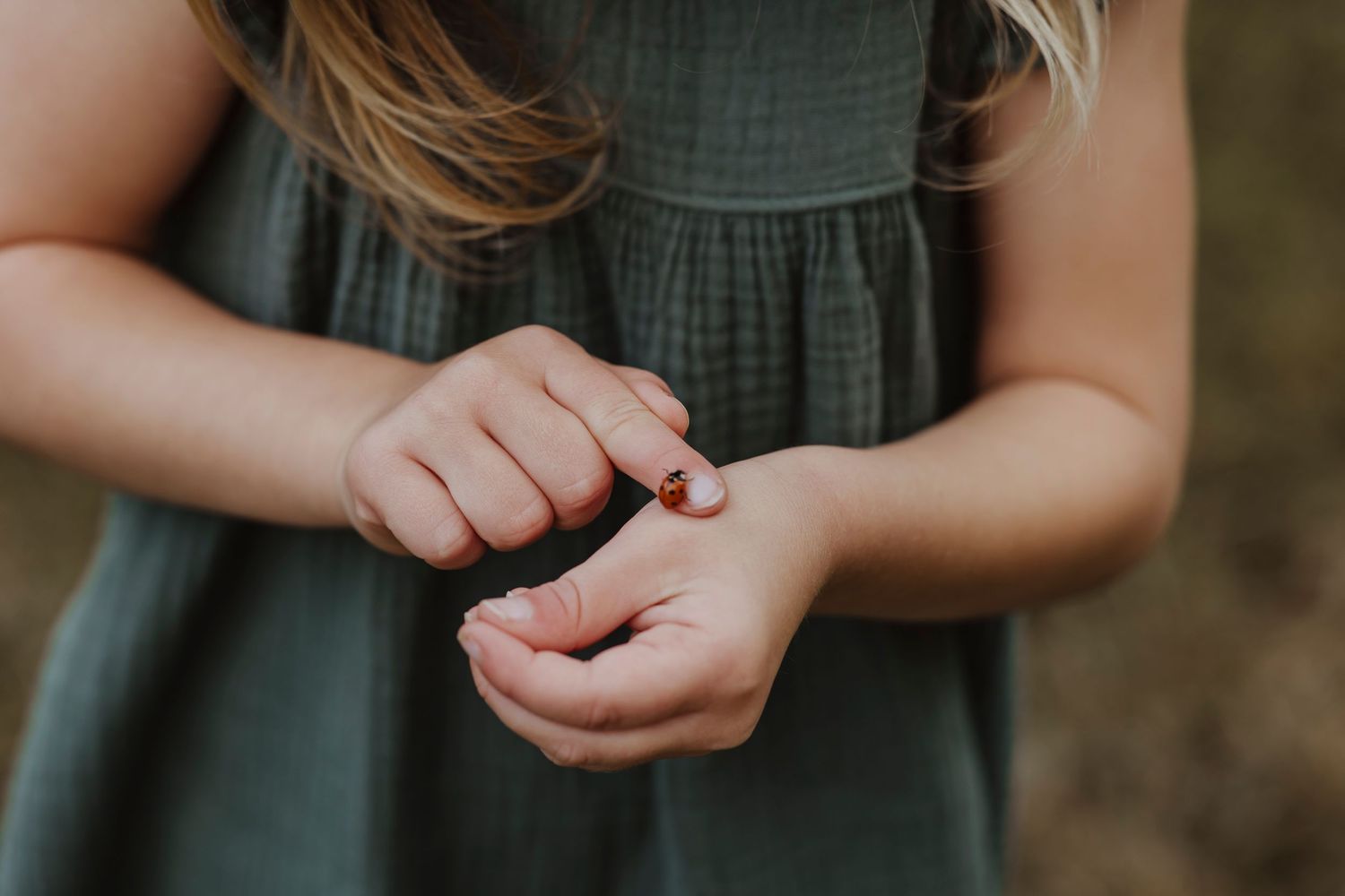 detail shot of a girl holding a ladybird on her finger