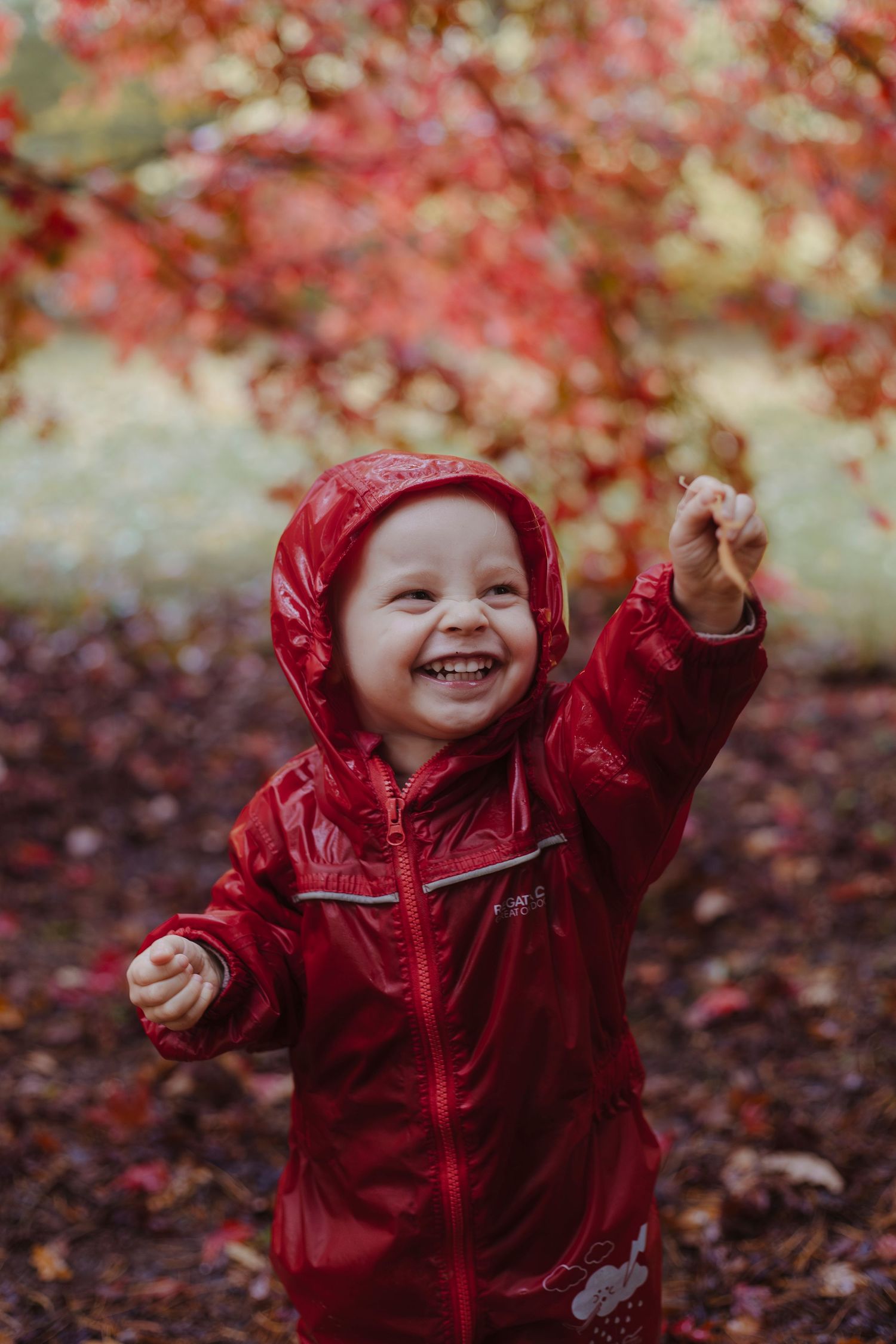 boy showing off proudly with autumnal trees behind him and leaves on the ground