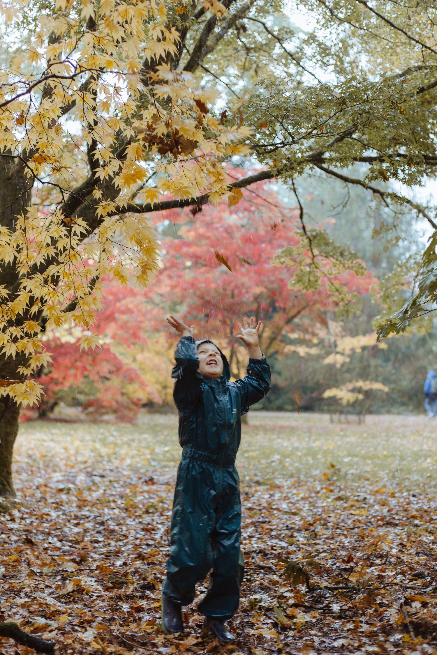boy throwing leaves in the air at westonbirt