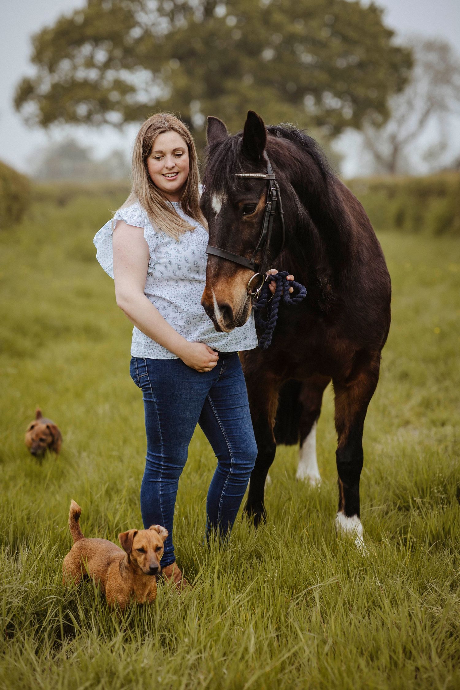 A woman stands in a grassy field with a gentle horse beside her and two small dogs exploring nearby, creating a warm, peaceful scene.