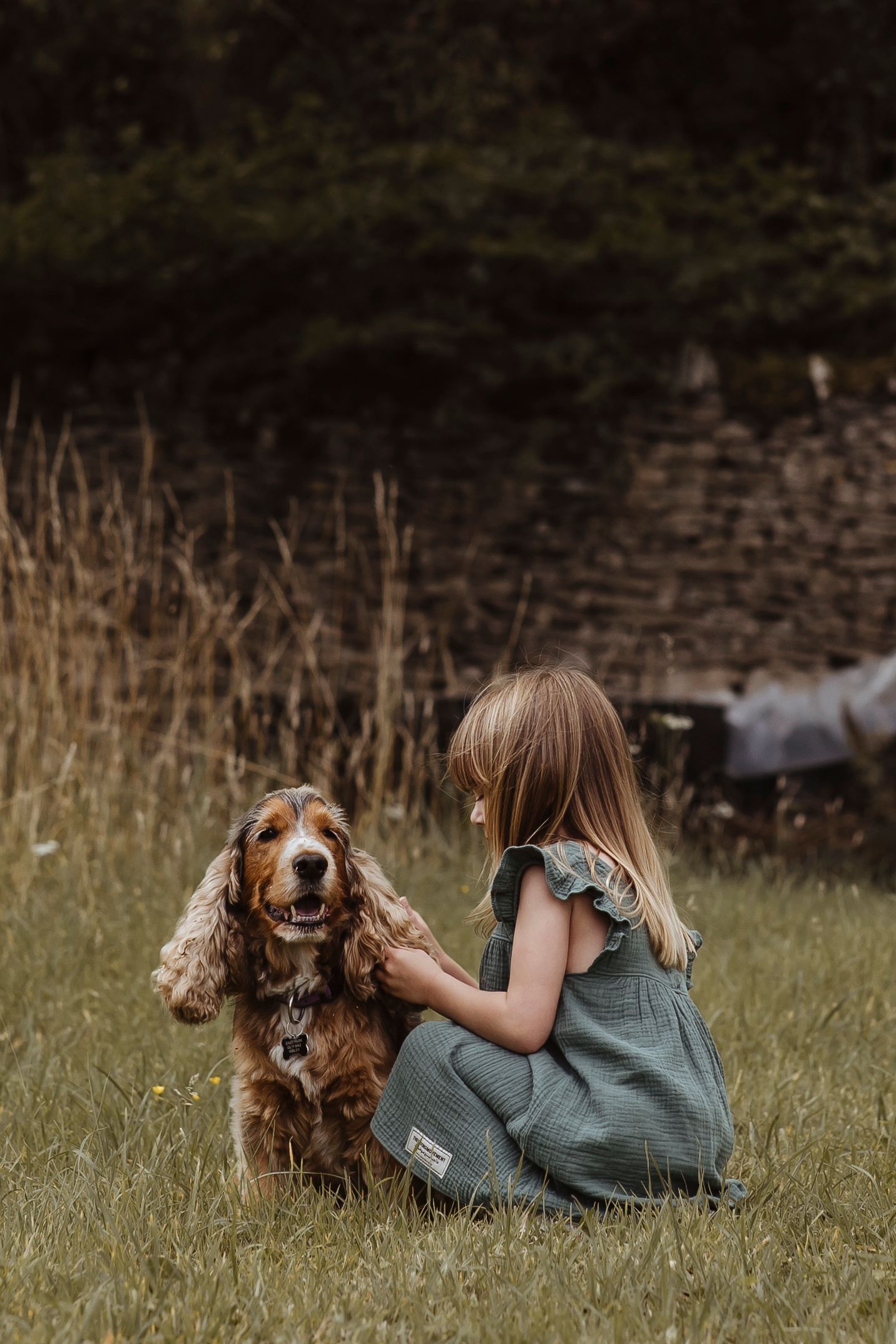 girl stoking dogs ear