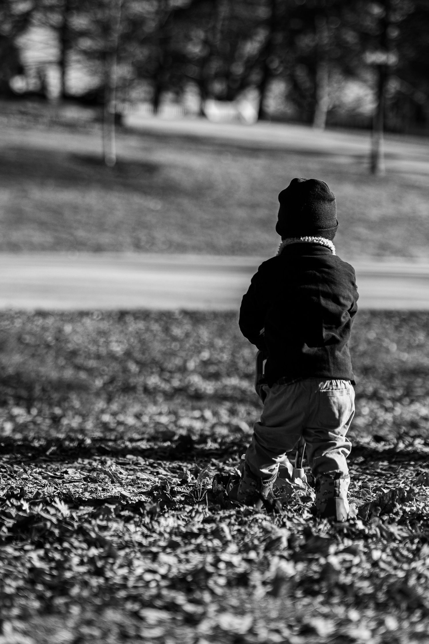 A black and white photo sequence shows a small child crawling through fallen autumn leaves on the ground.