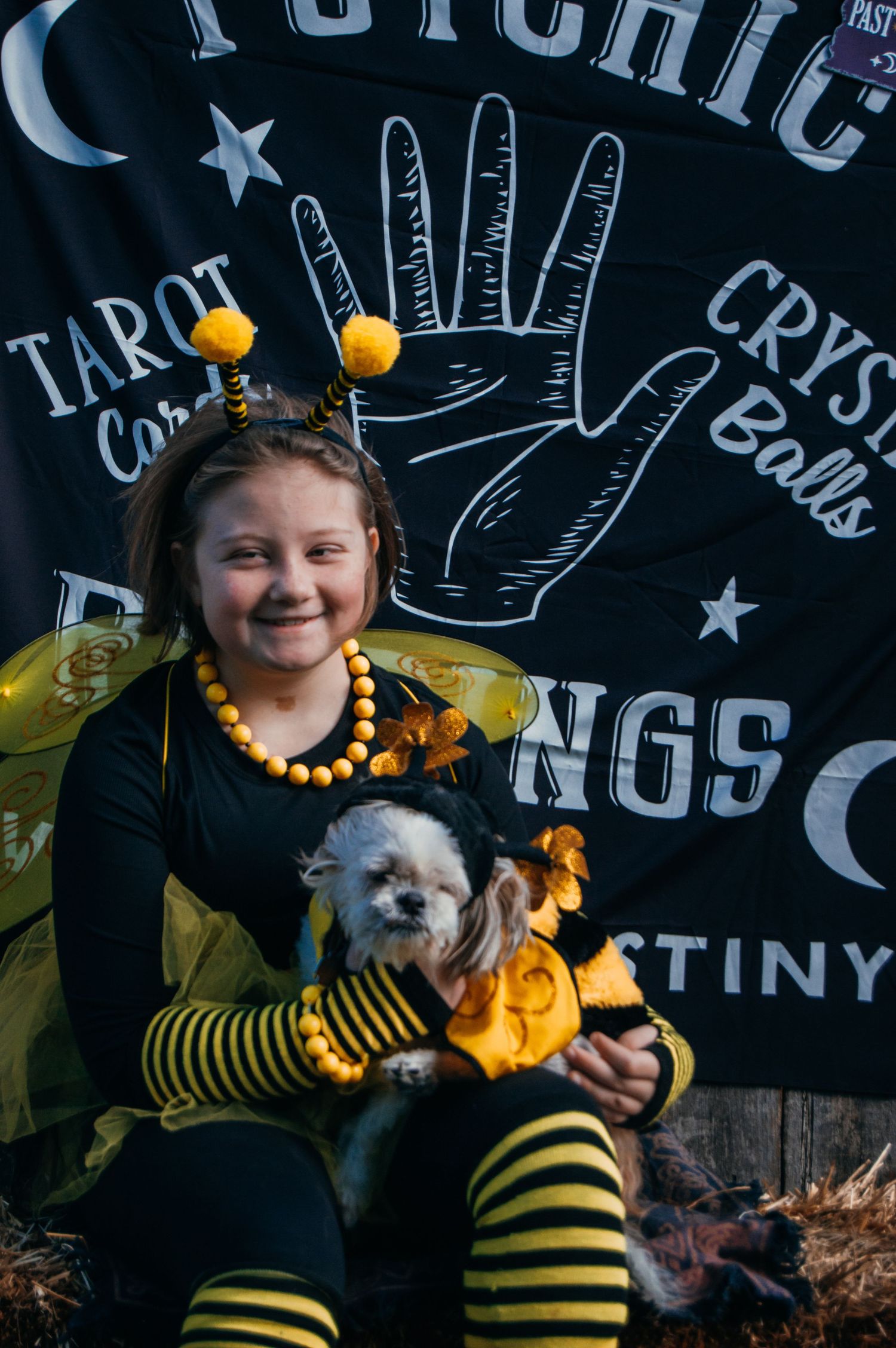 A small dog wearing a bee costume poses against a mystical fortune telling backdrop.