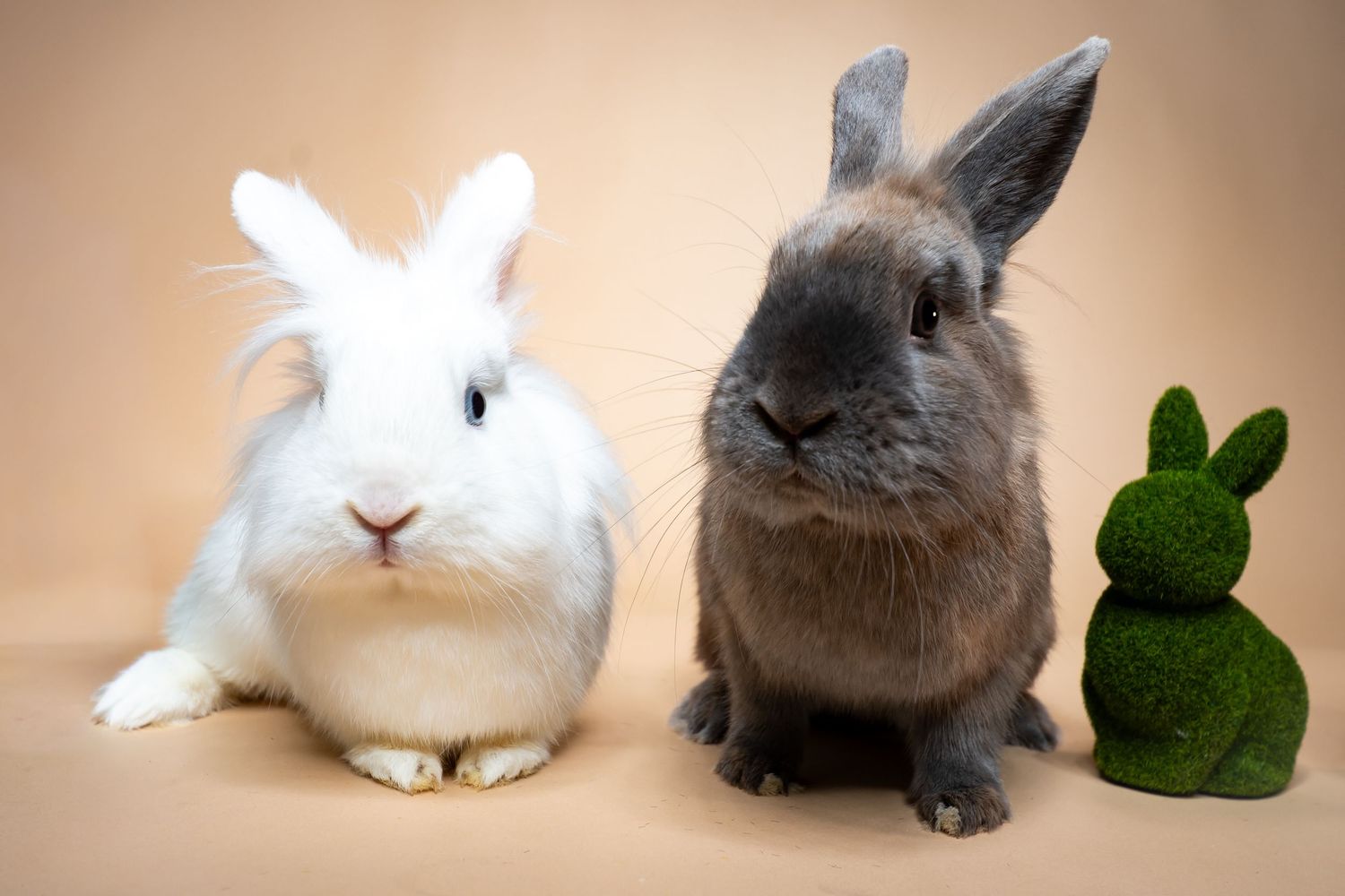 Two adorable rabbits, one white and one gray, sit beside a small green decorative bunny figurine on a beige background.