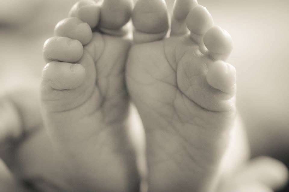 Close-up black and white photo of tiny baby feet showing delicate soles and toes.
