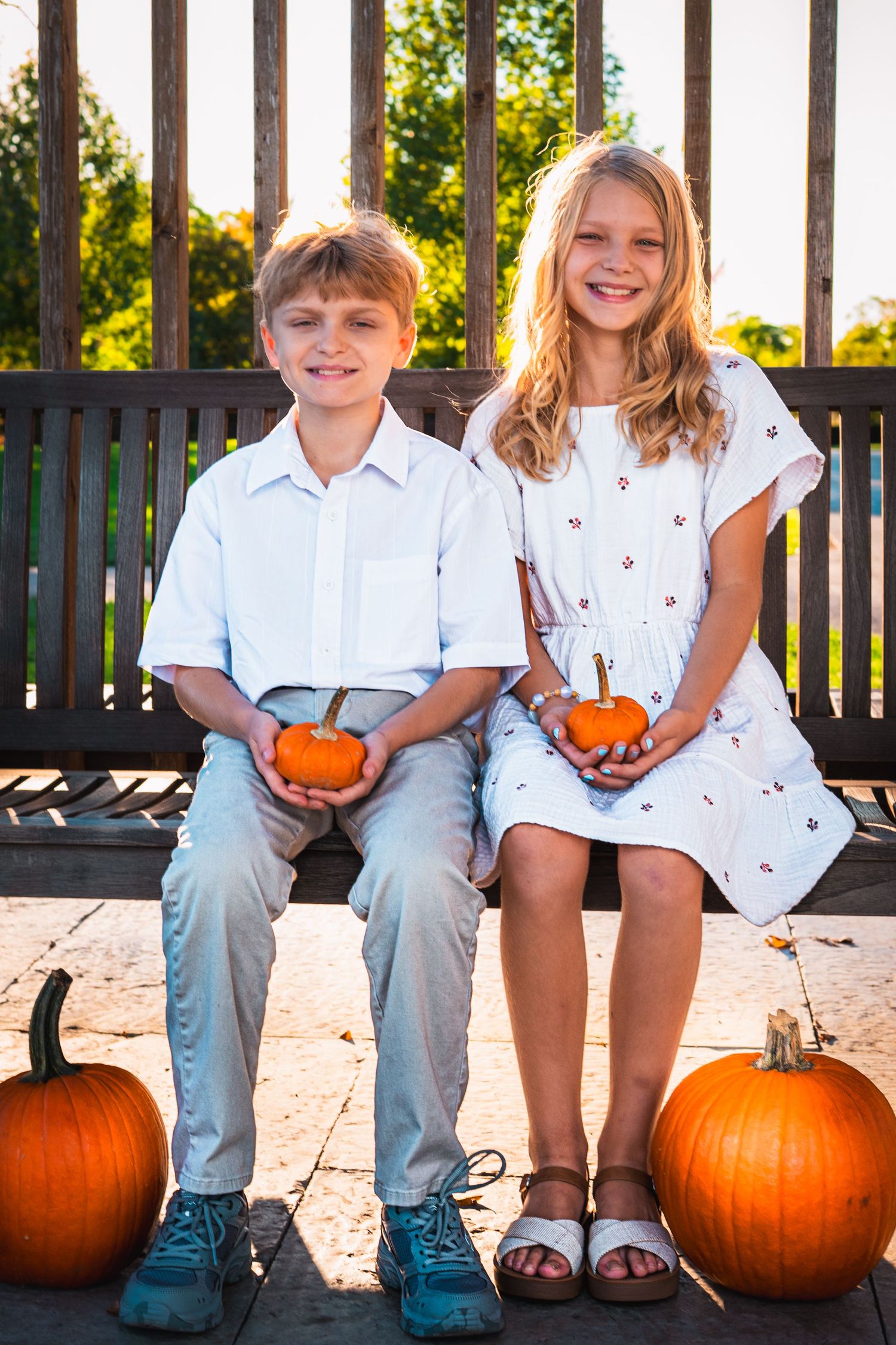 Two smiling children sit on a wooden bench holding small pumpkins, with larger pumpkins at their feet on a sunny autumn day.