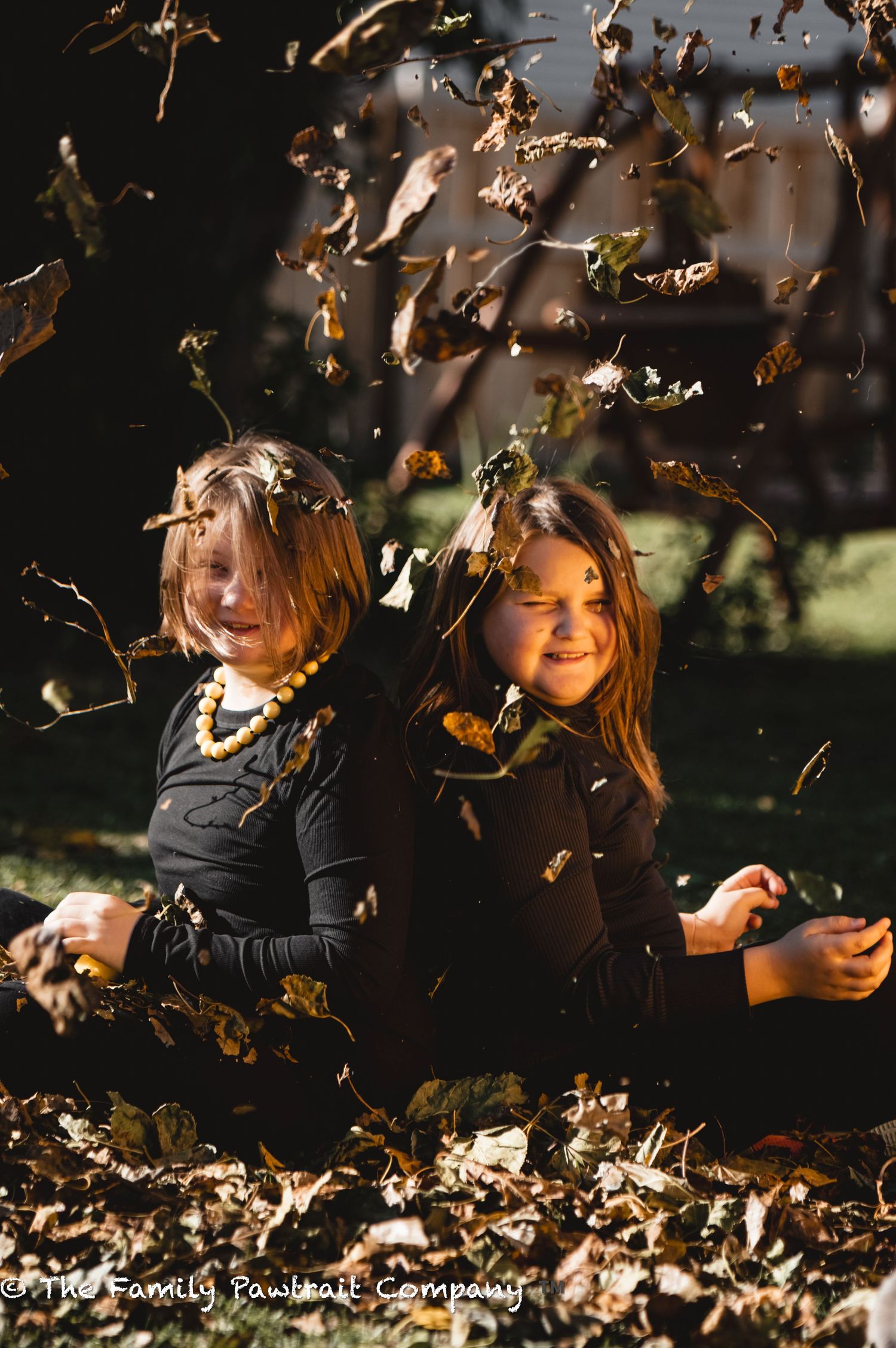 Autumn scene with fallen leaves swirling around in golden sunlight.