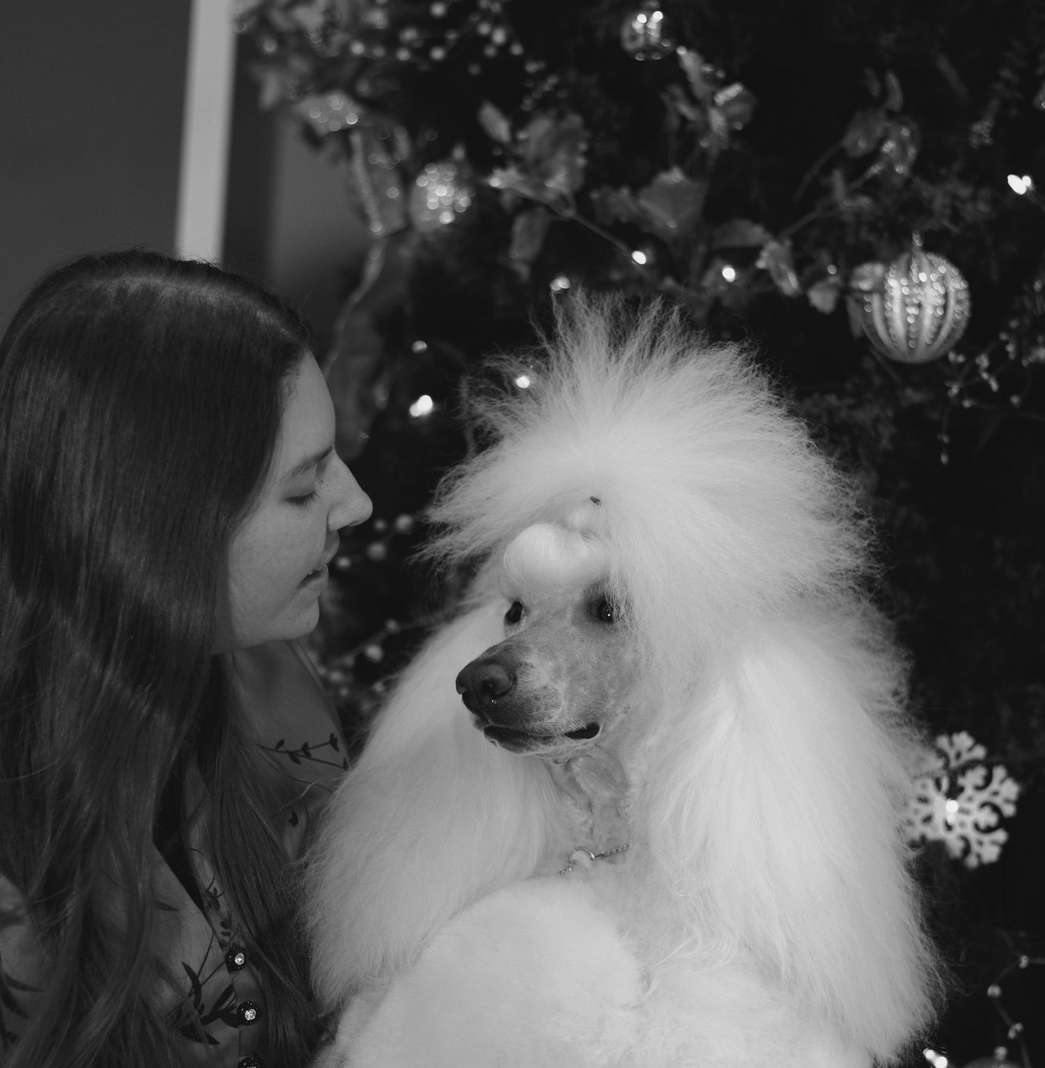 Black and white photo series showing a person interacting with a fluffy white Pomeranian dog against a dark background.
