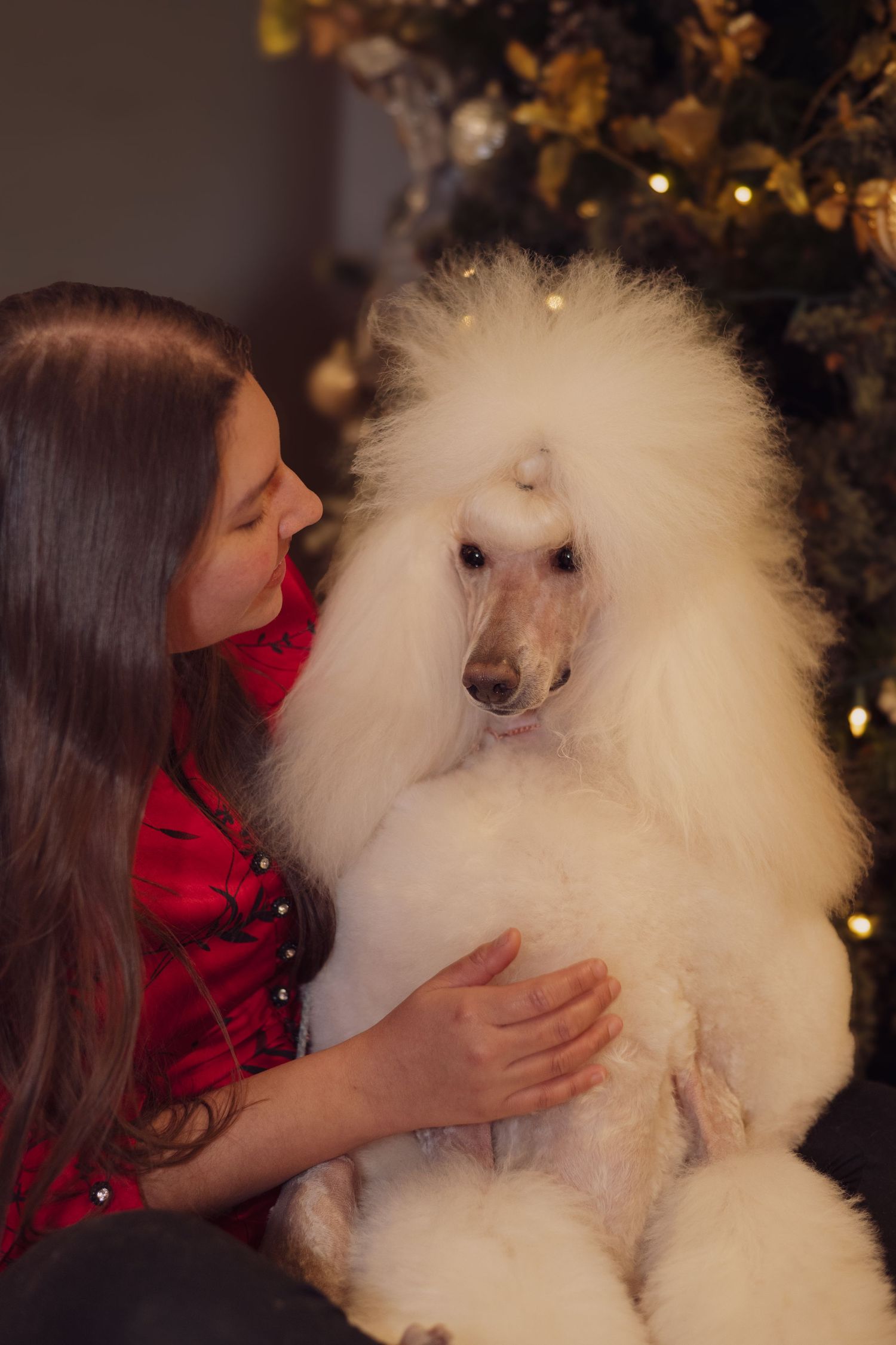 A person in red embraces a fluffy white Samoyed dog in a series of affectionate poses with Christmas lights in background.