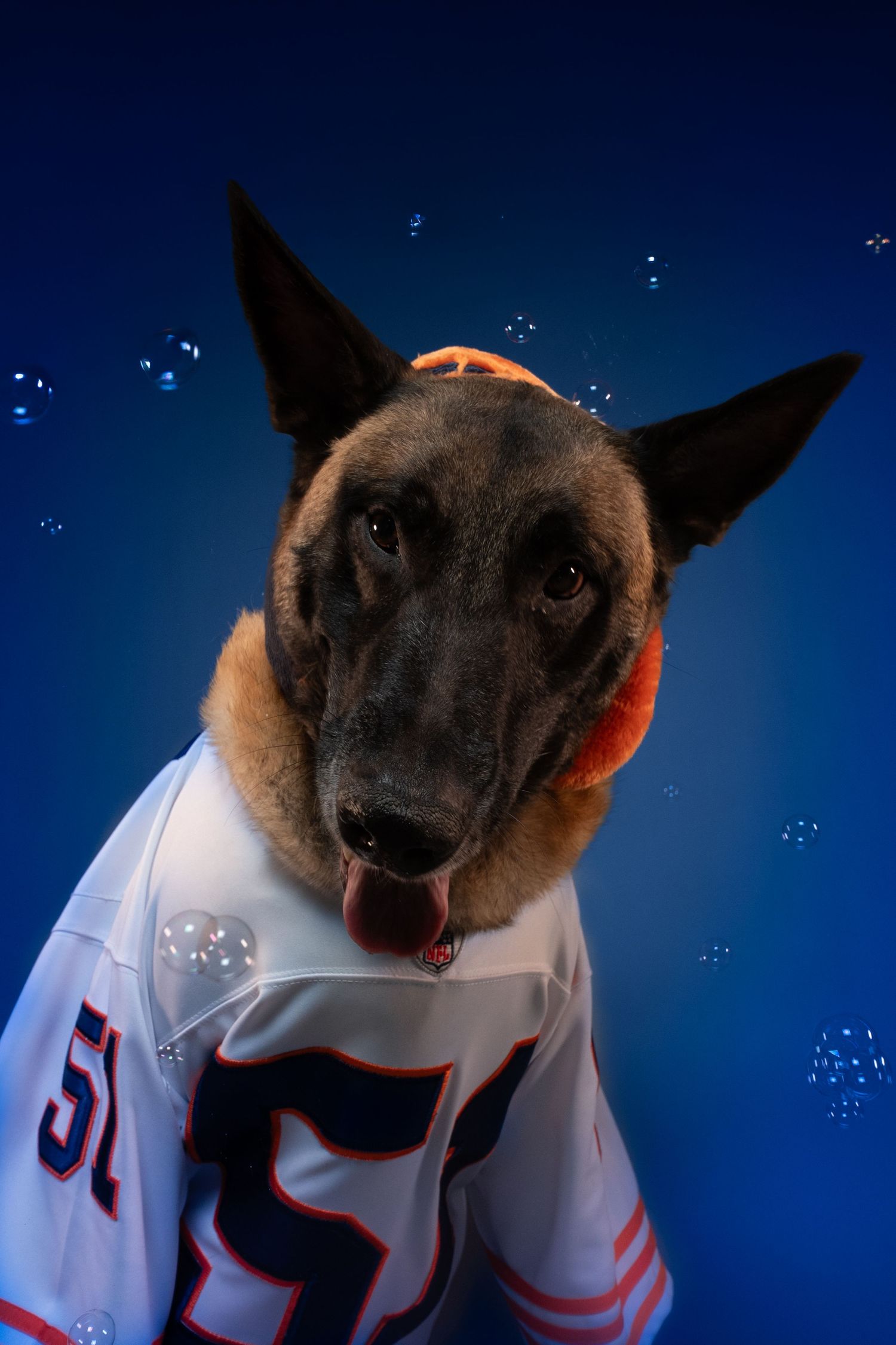 A Siamese cat wearing a white baseball jersey poses against a dark blue background with sparkly highlights.