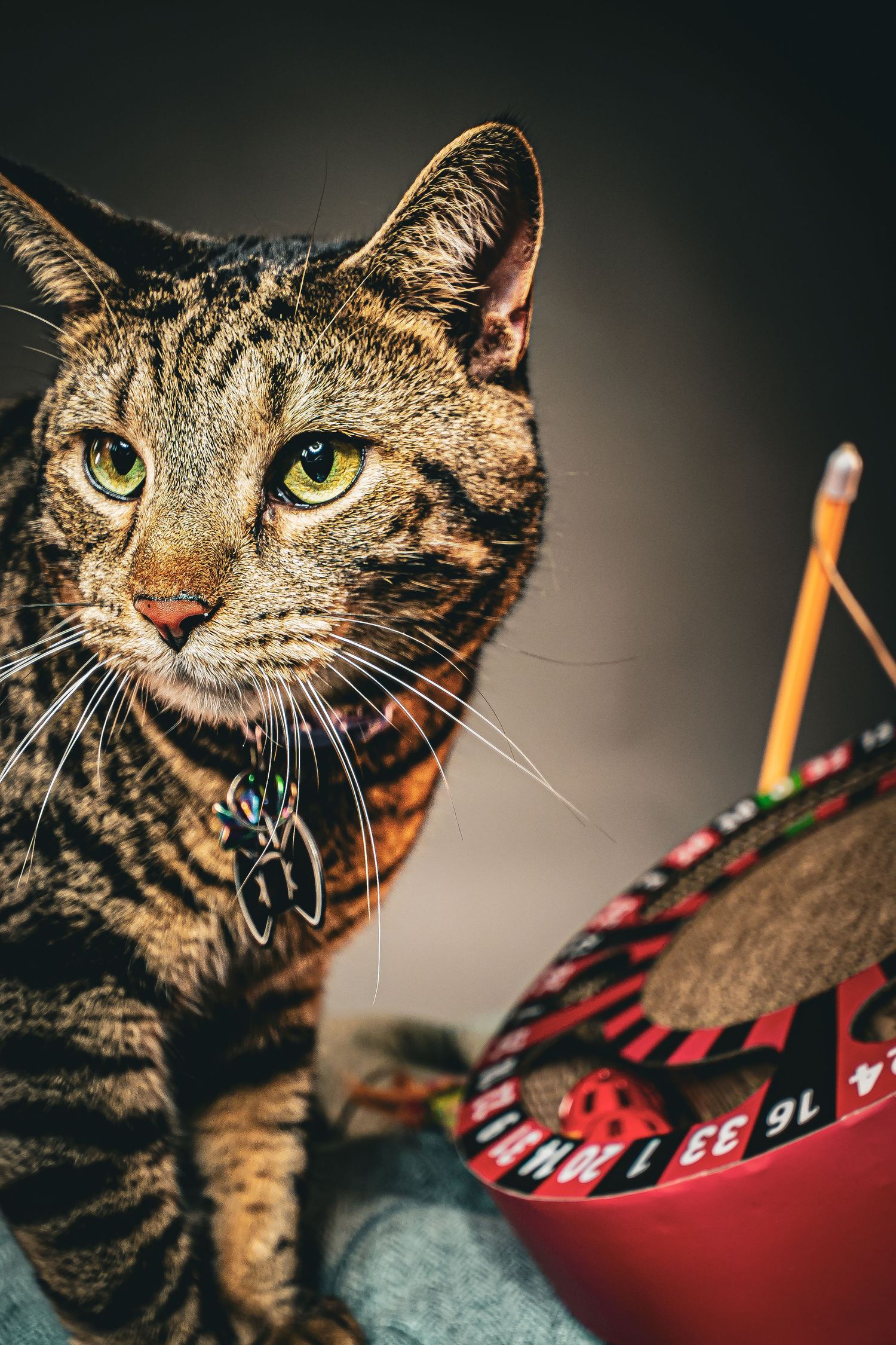 Alert tabby cat with green eyes and collar tag sitting beside a red decorative basket with pencils.