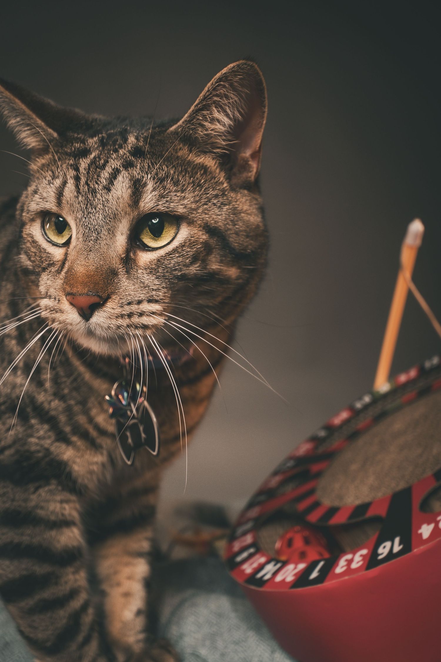 A tabby cat with green eyes and a collar sits next to a red decorative basket with numbers on a gray background.