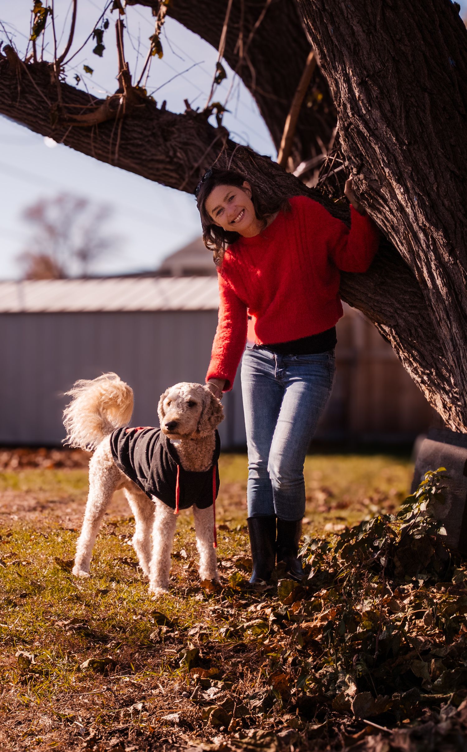 Person in red sweater walking small white dog through autumn leaves.