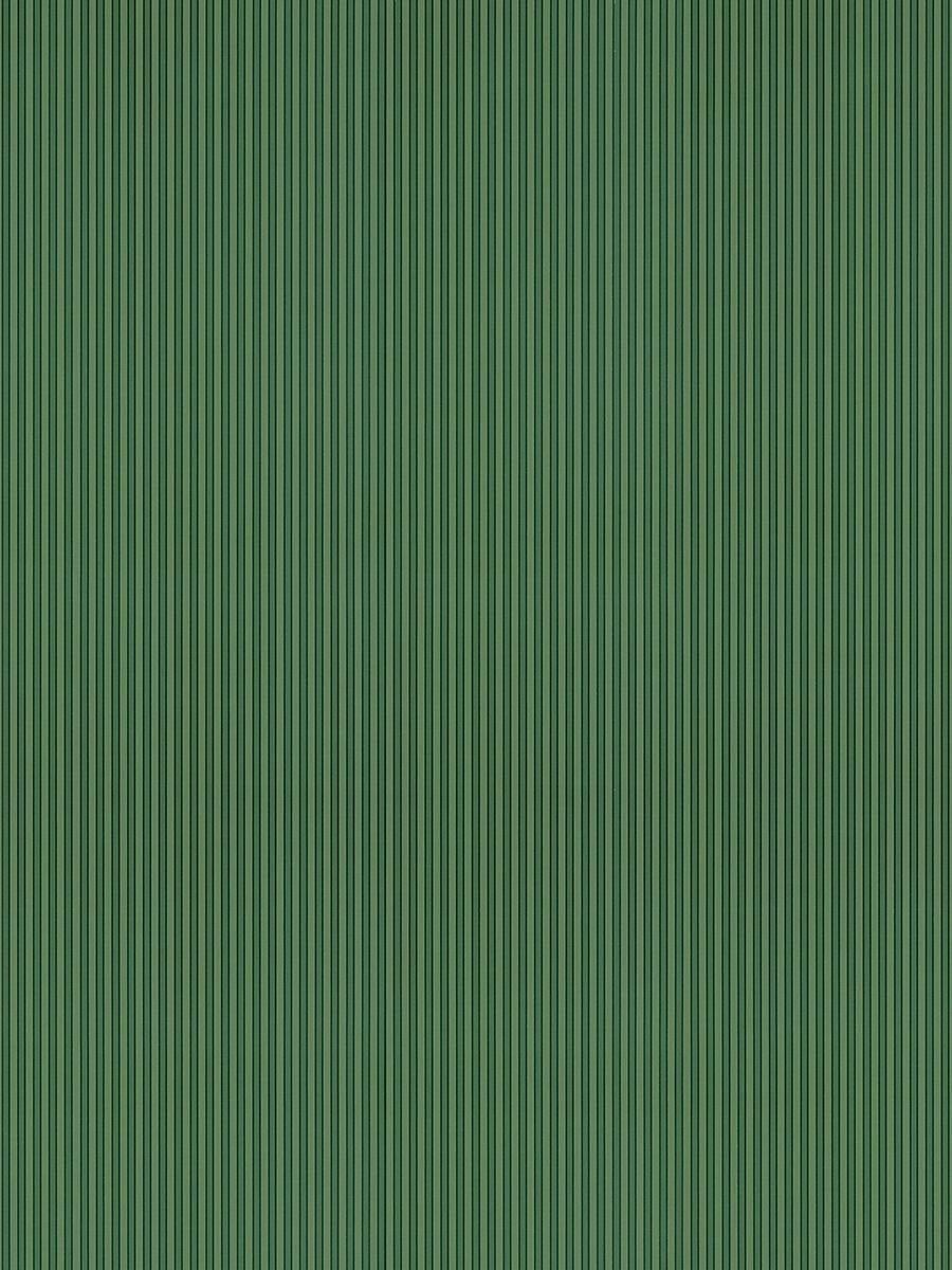 A repeating pattern of vertical green stripes creates a striped background texture in varying shades of emerald.