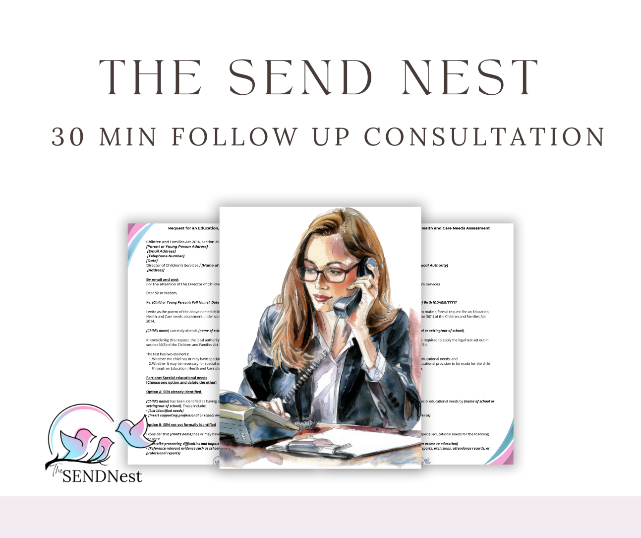 A website header banner showing 'The Send Nest' text with a 30 minute follow-up consultation subtitle.