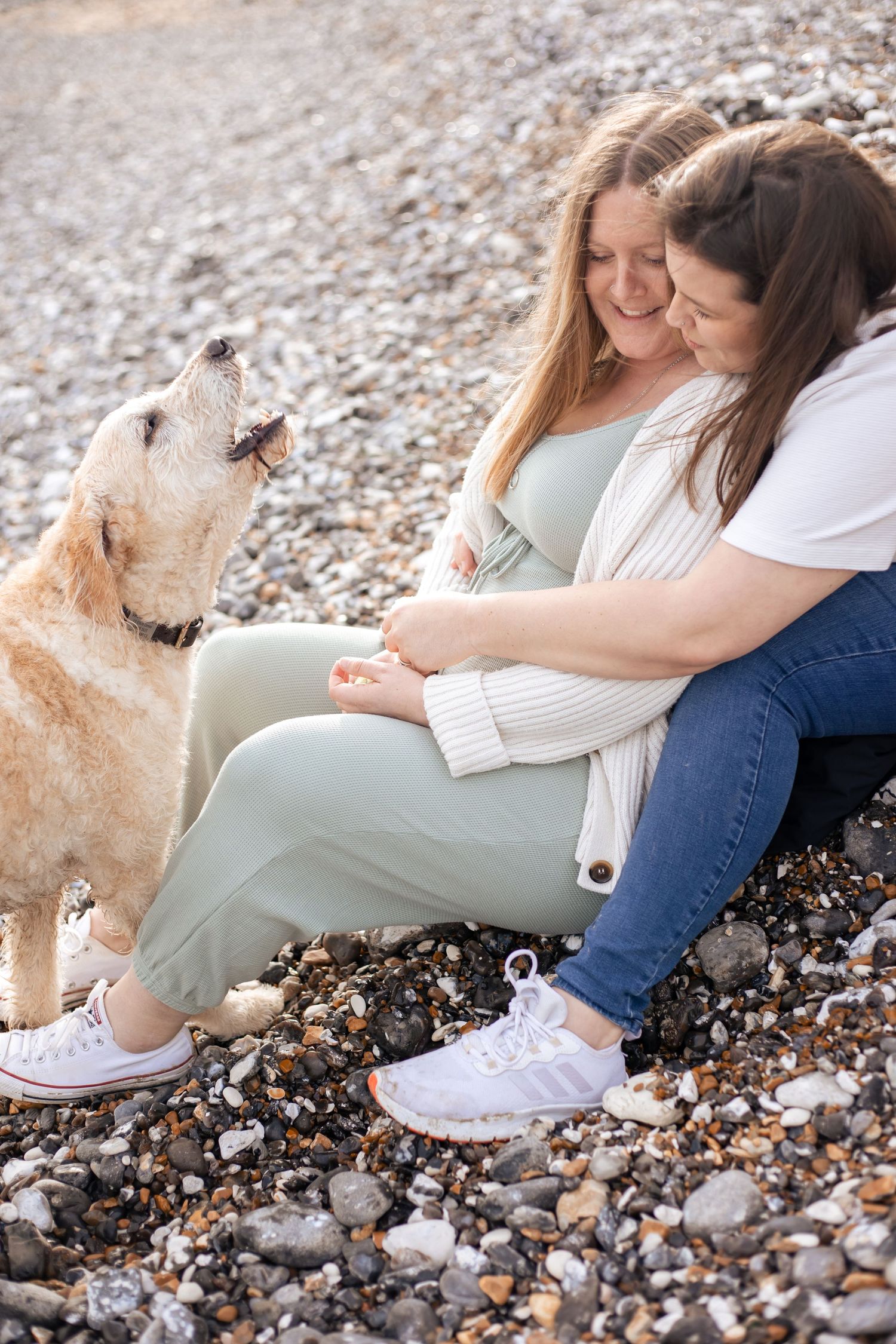 a pregnant woman with her wife and labradoodle dog on the pebbles of eastbourne beach