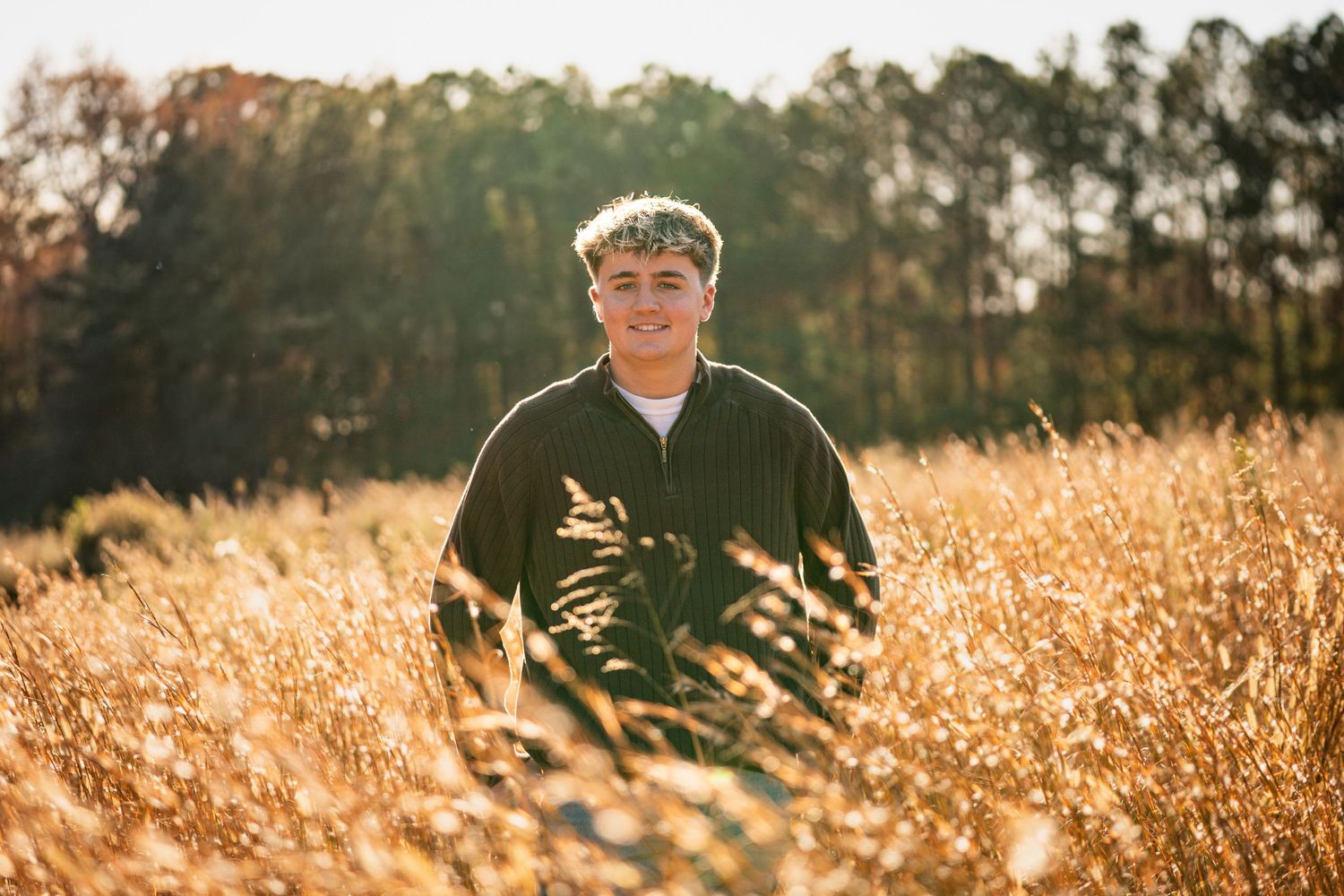 Person stands in golden wheat field at sunset with tall pine trees in background creating a warm autumn scene.