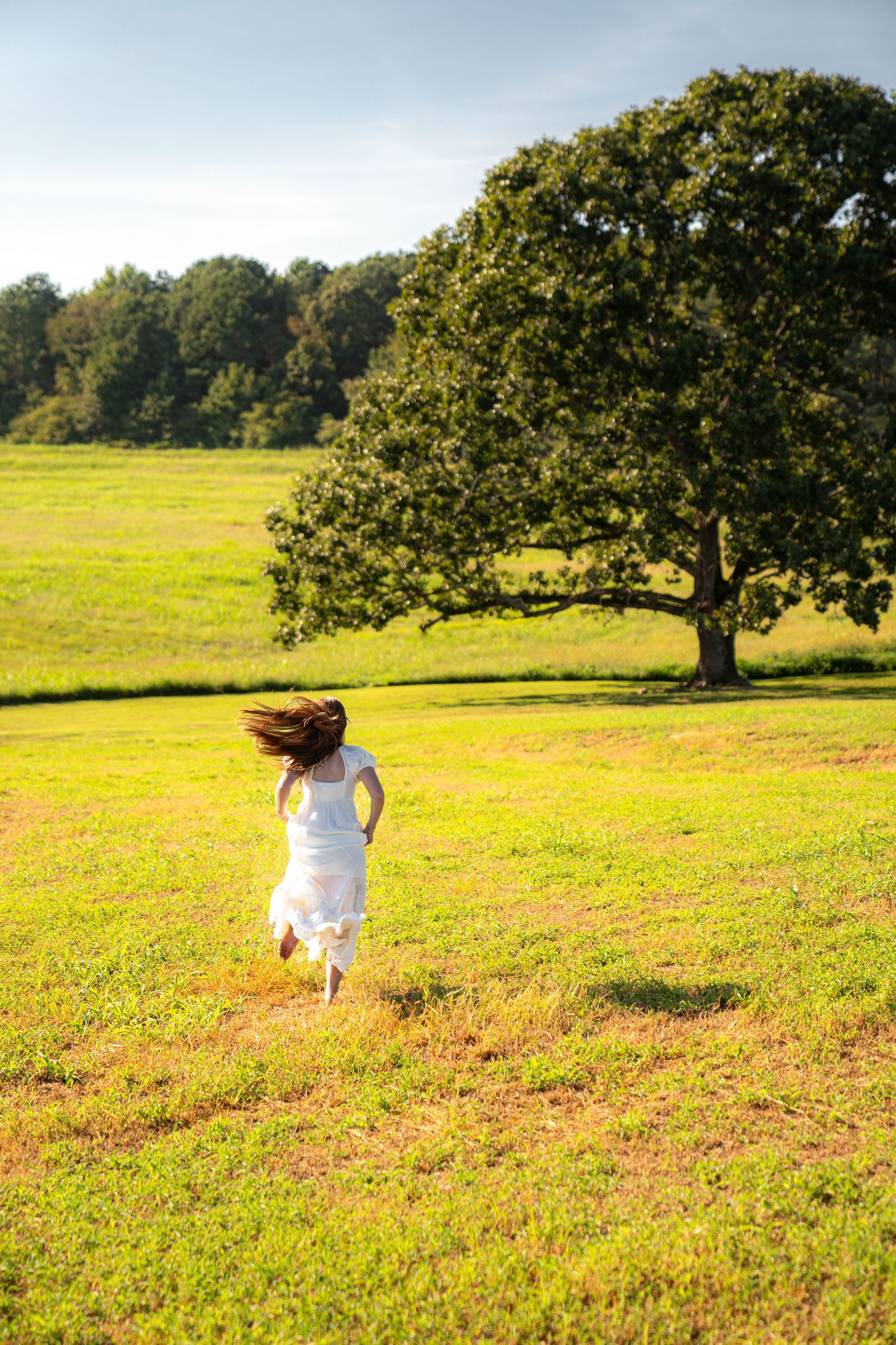 A young girl in a white dress runs through a sunny green meadow toward a large oak tree on a beautiful summer day.