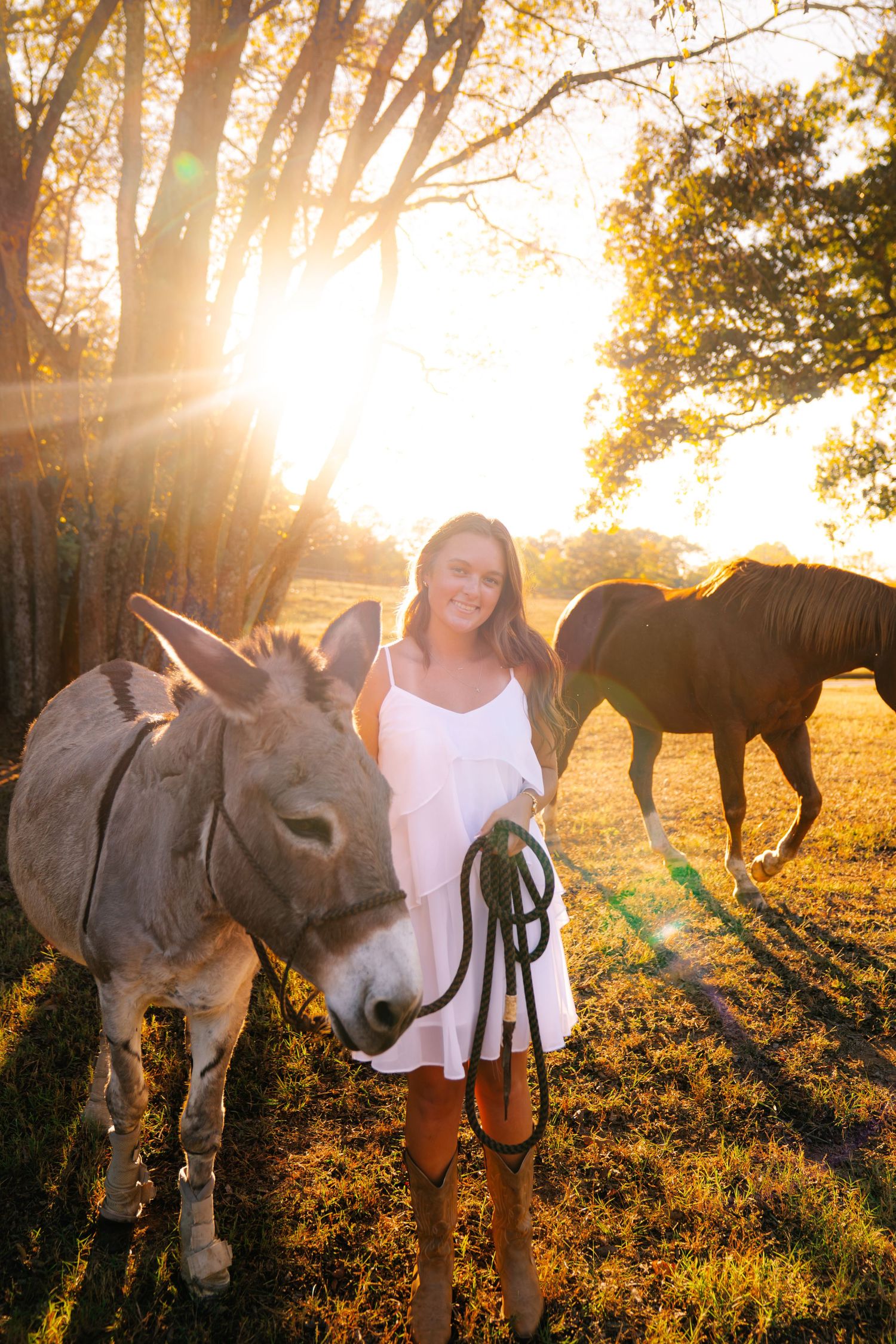 Smiling woman in a white sundress holds a rope lead beside a gray donkey in a golden sunset pasture with a brown horse behind.