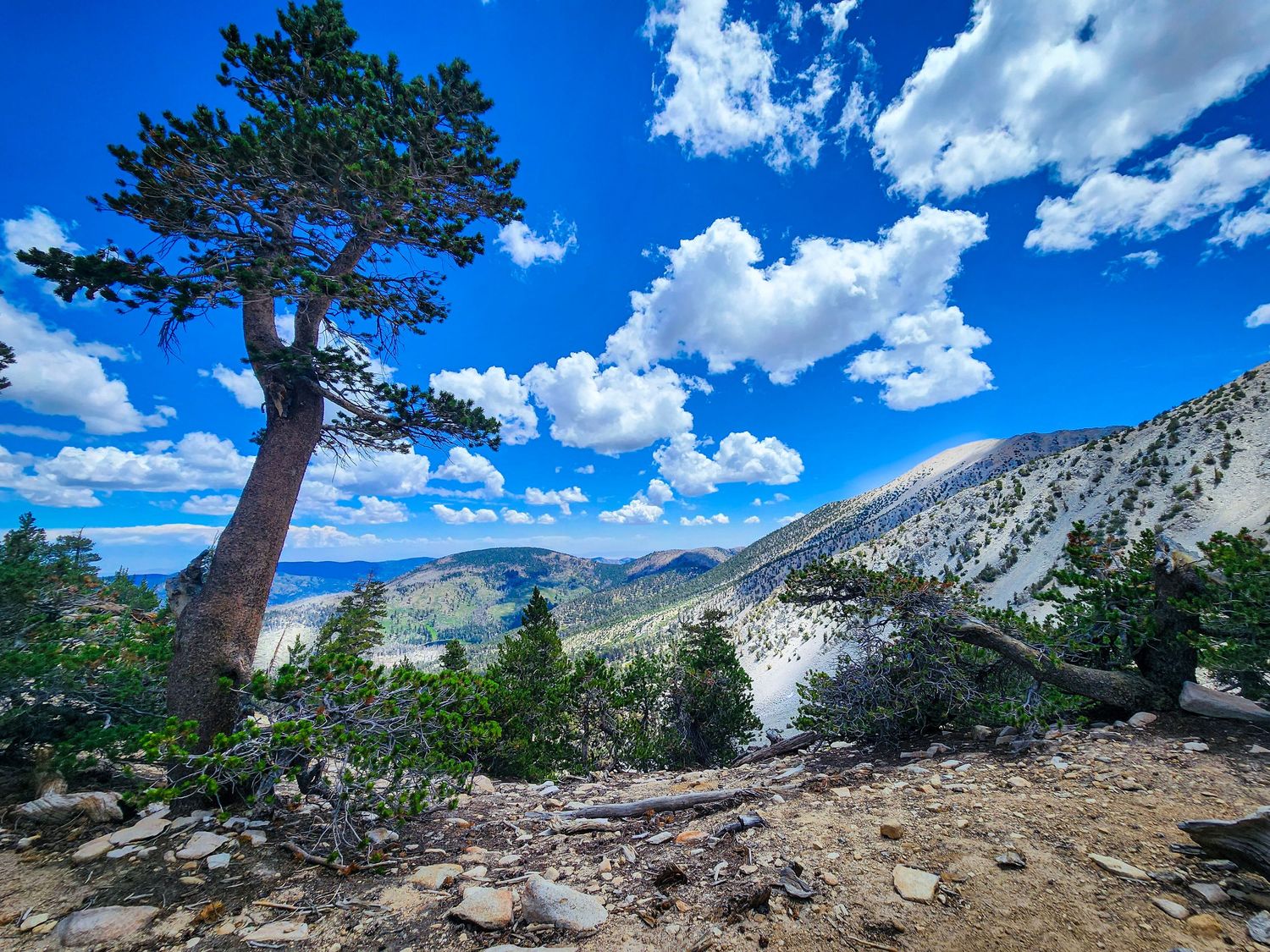 August icefield on Mt. San Gorgonio.