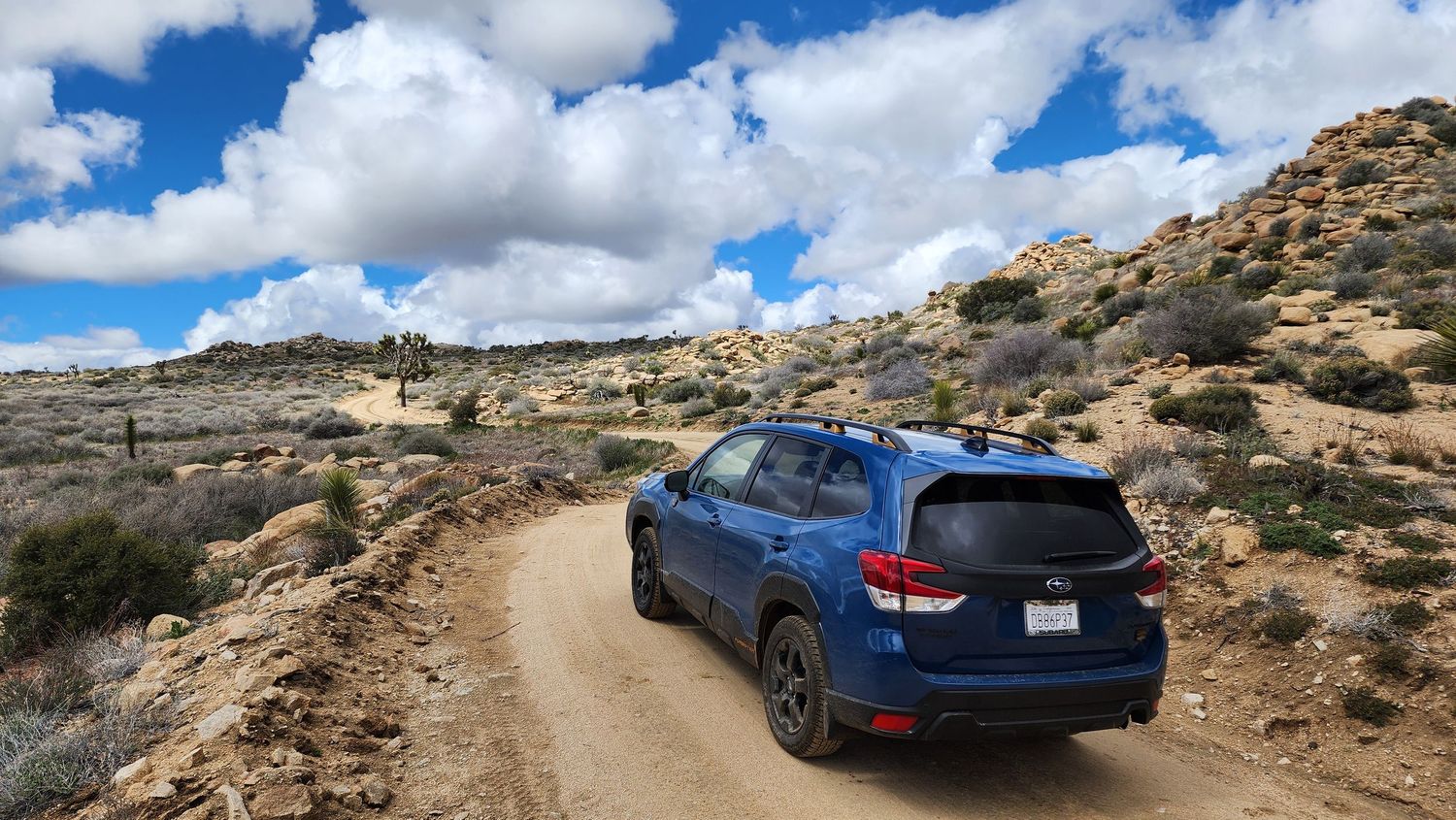 Subaru Forester Wilderness in Joshua Tree National Park