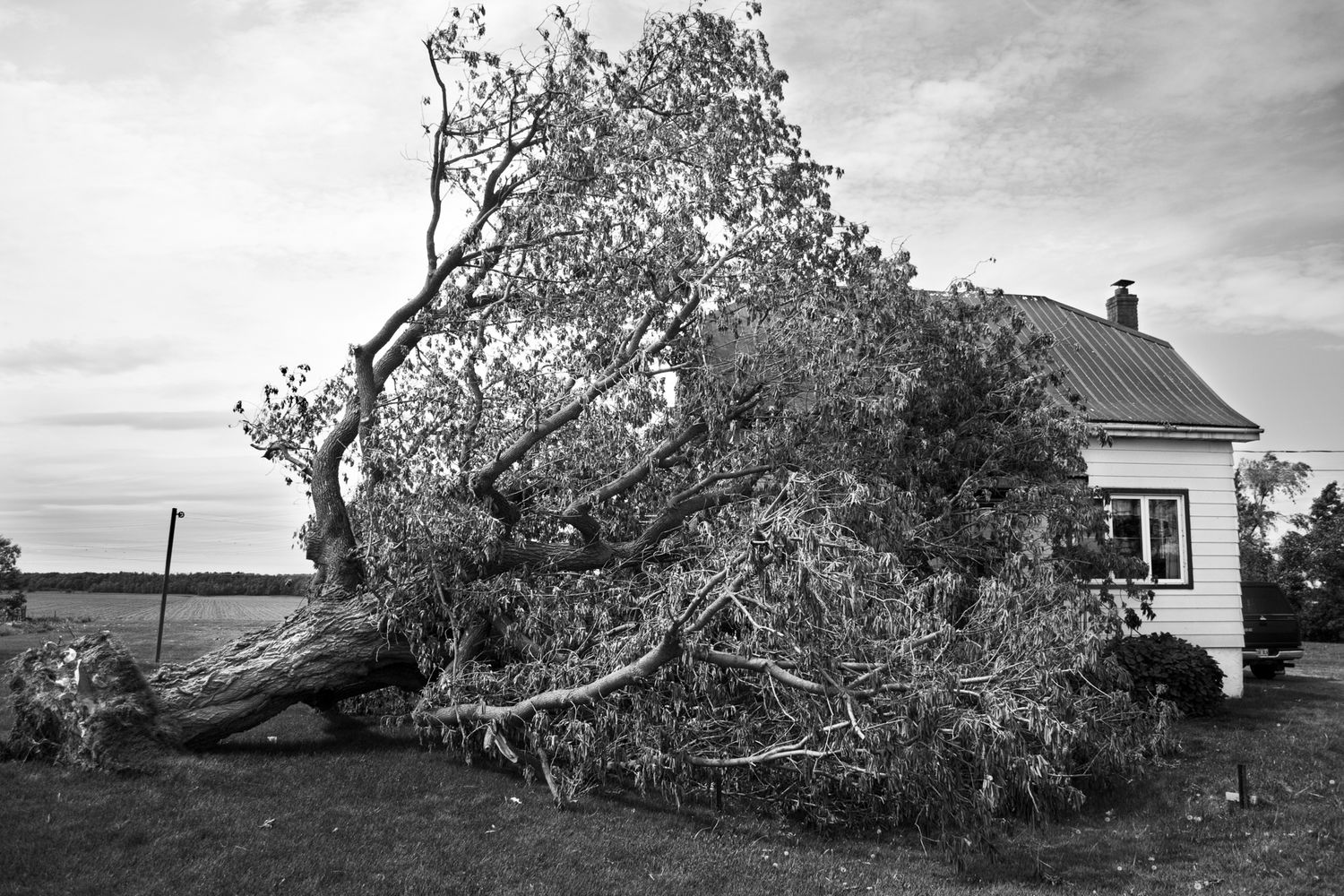 A series of black and white photographs showing storm damage to houses and fallen trees in a rural setting.