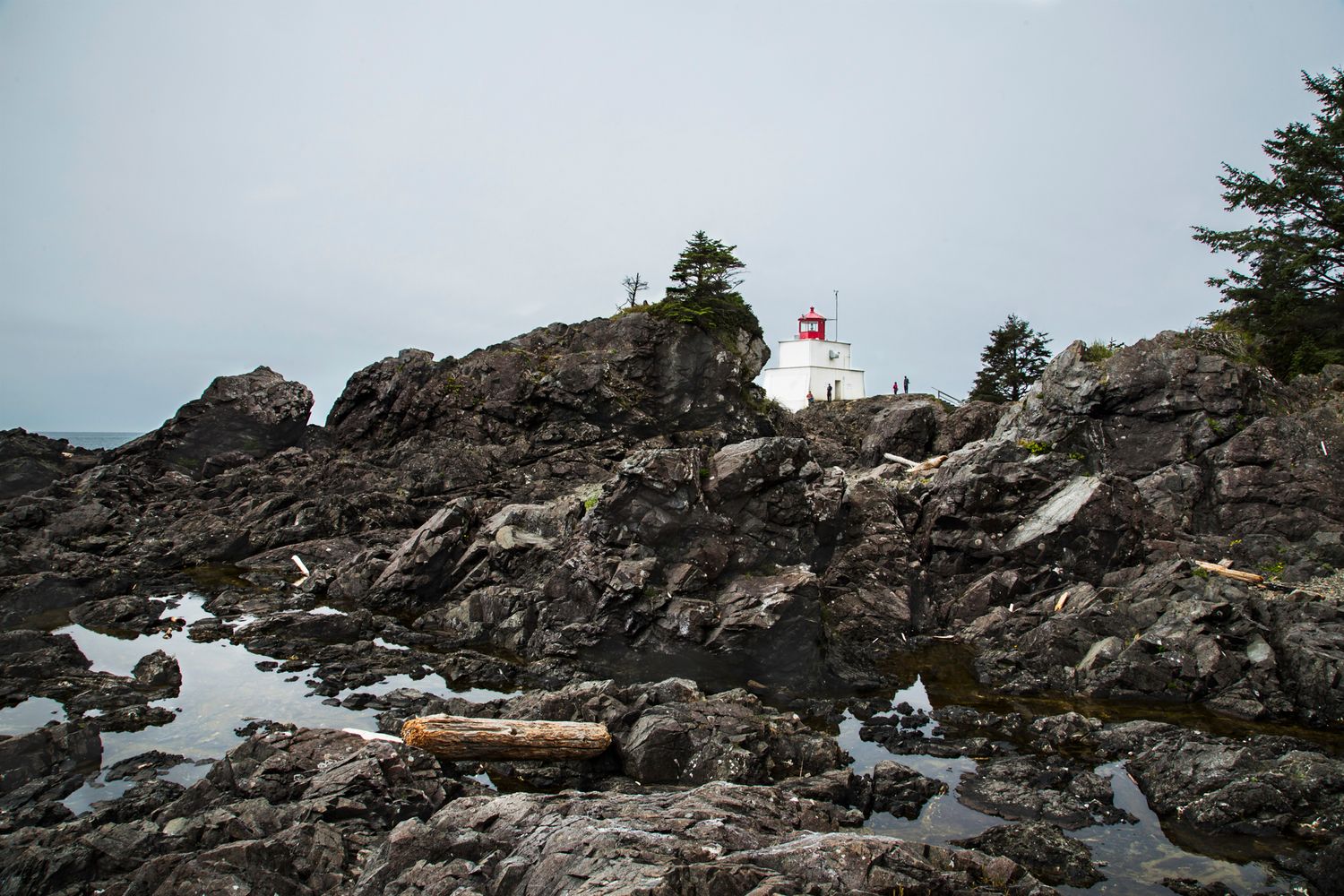 Rocky coastal shoreline with rugged cliffs and a lighthouse perched on the edge.