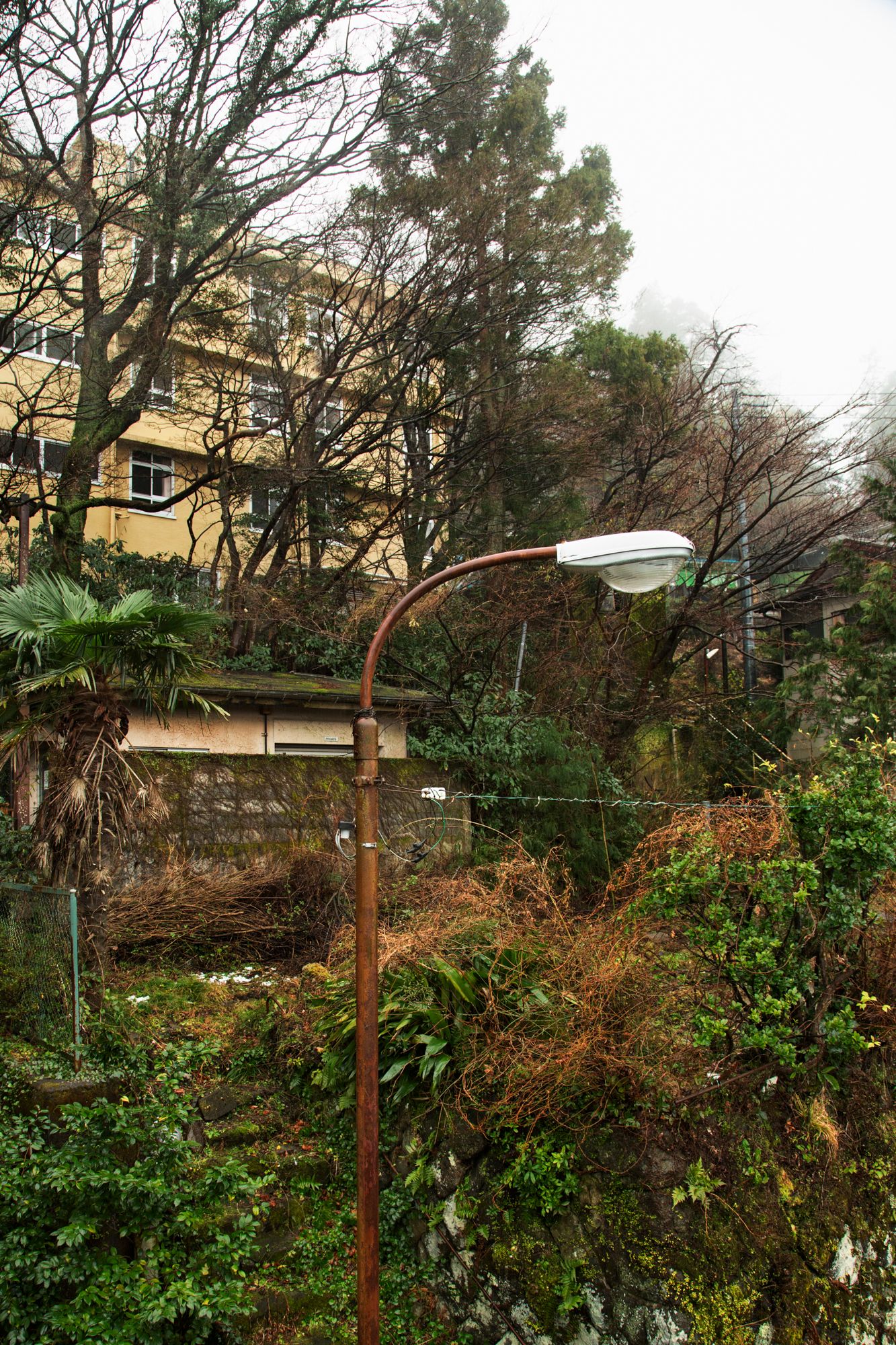 Rustic wooden lantern posts line a garden path with evergreen trees and bushes in the background.