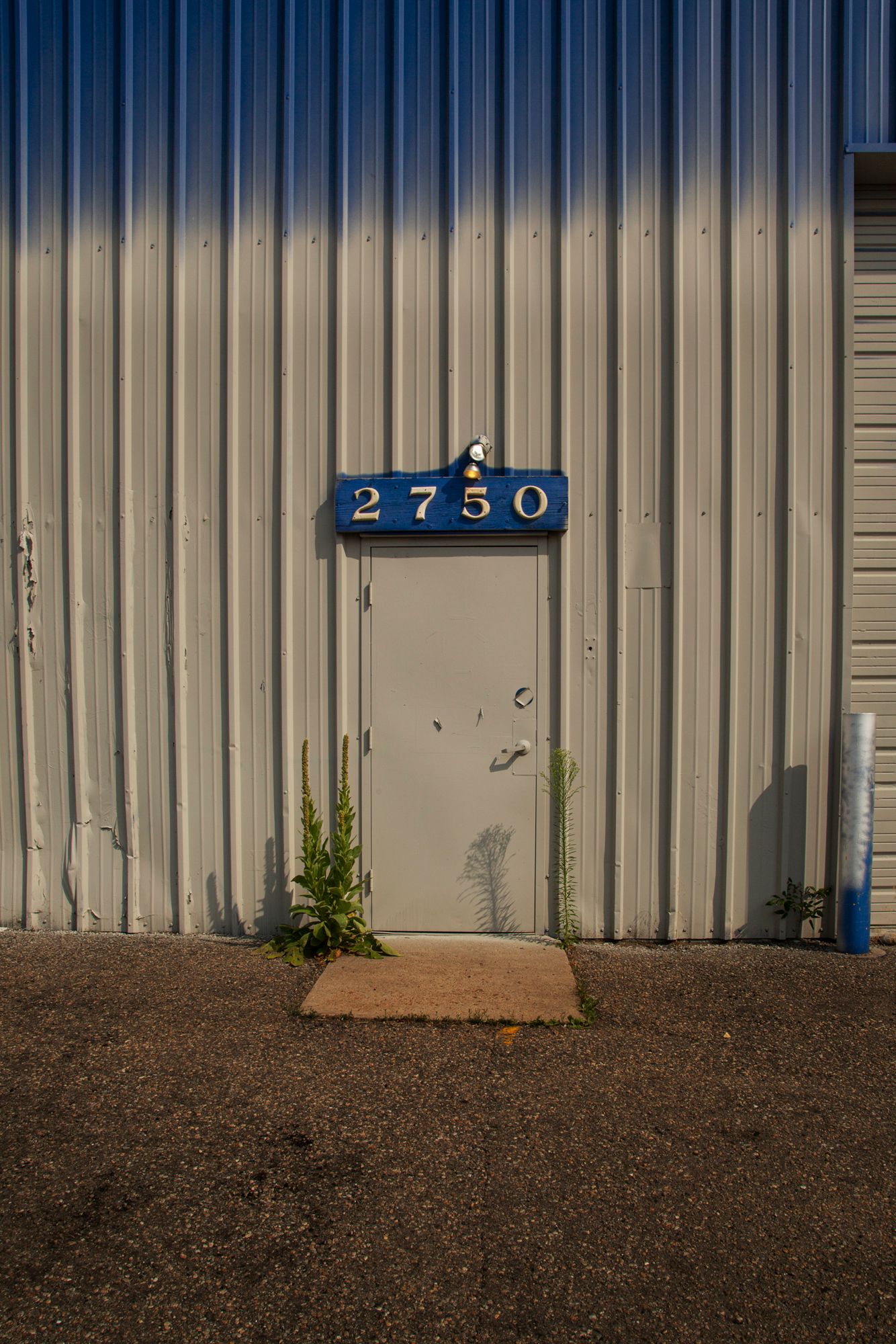 A metal door with the number 2750 mounted on corrugated metal siding with a small plant growing at its base.
