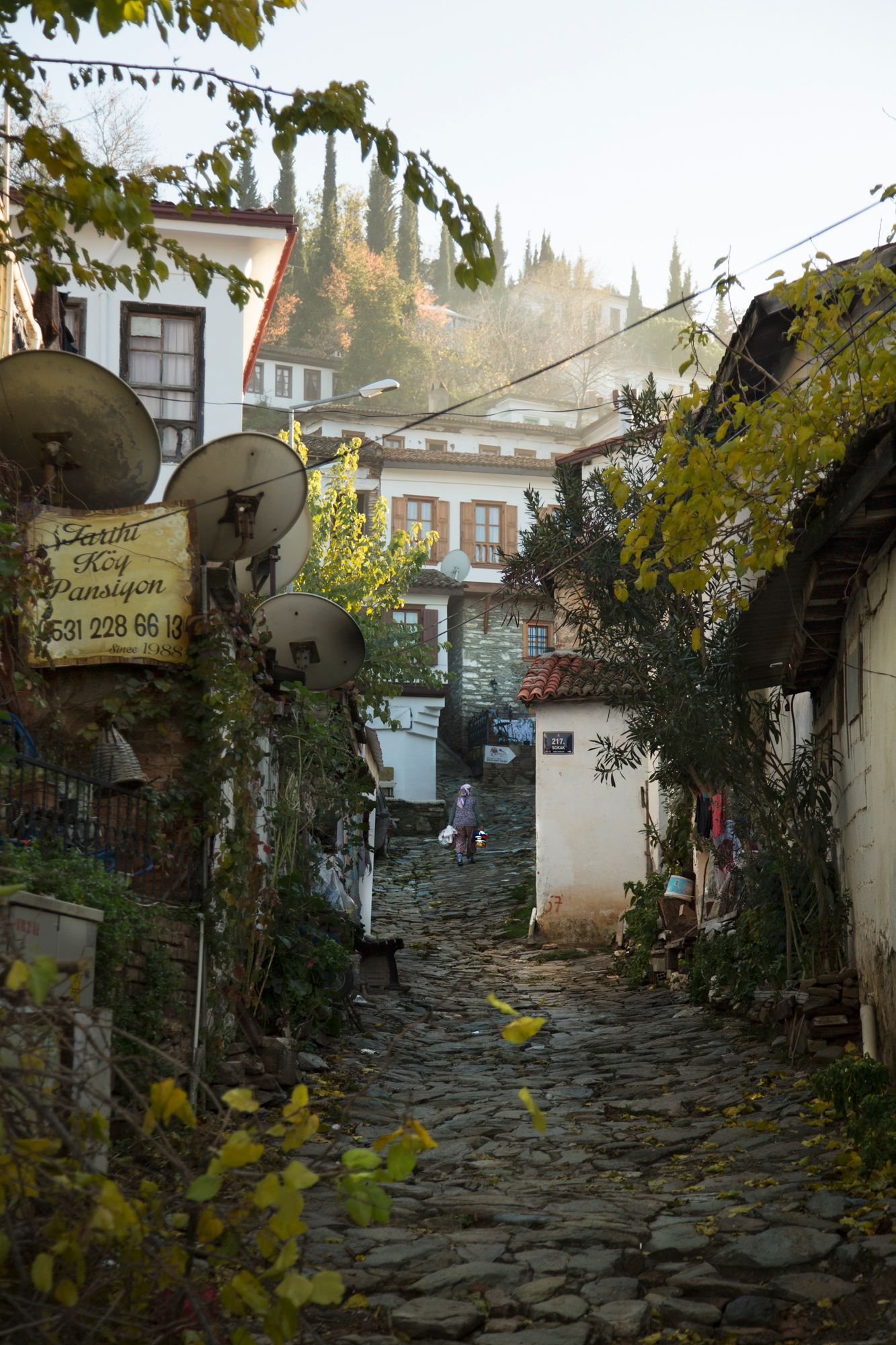 Cobblestone pathway lined with rustic houses and autumn foliage in a quaint village.