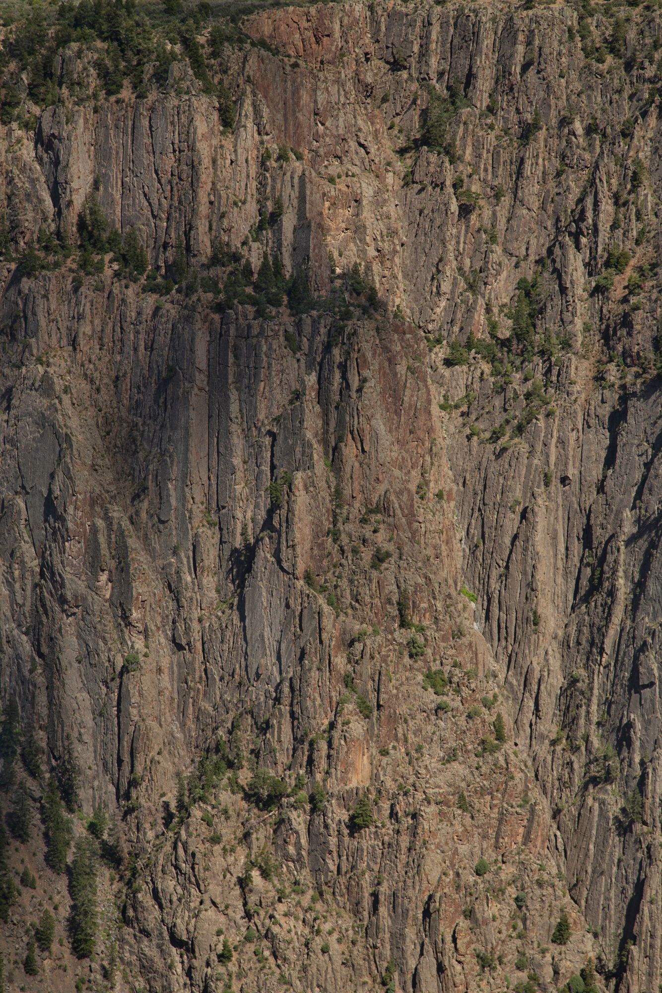 Rugged brown cliff face with vertical striations and sparse vegetation growing on rocky outcrops in natural sunlight.