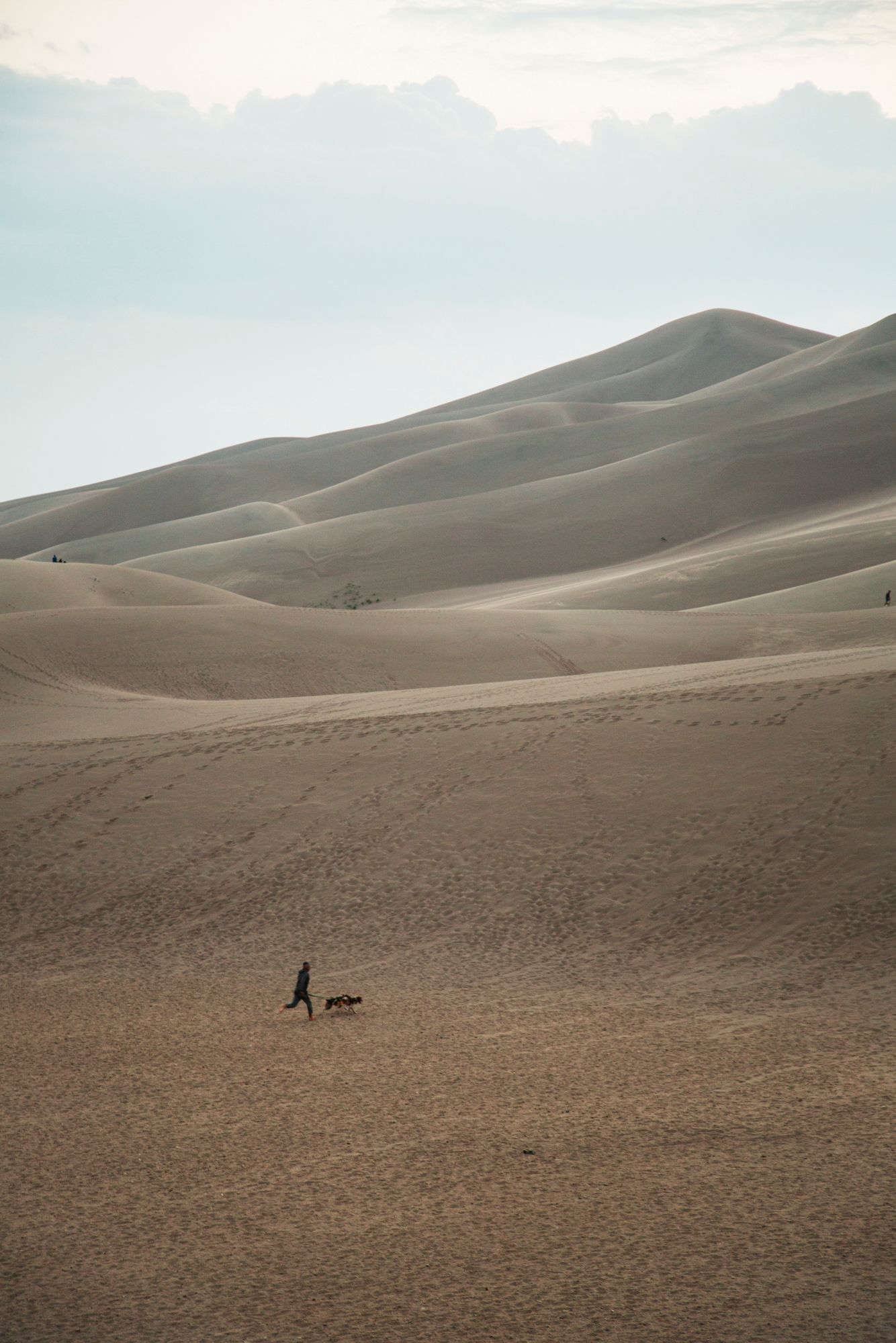 A lone figure stands in the vast expanse of rolling sand dunes stretching toward the horizon under an overcast sky.