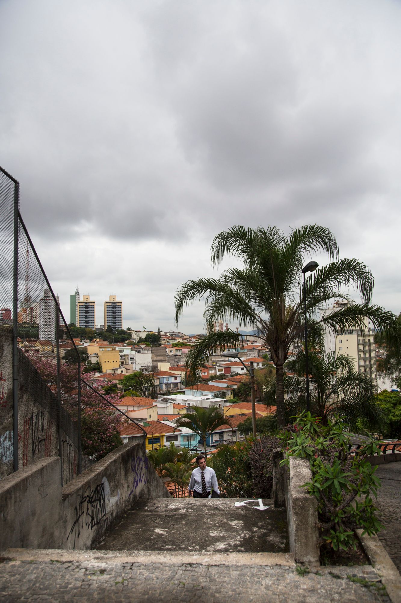 Urban neighborhood with palm trees and apartment buildings under overcast sky.