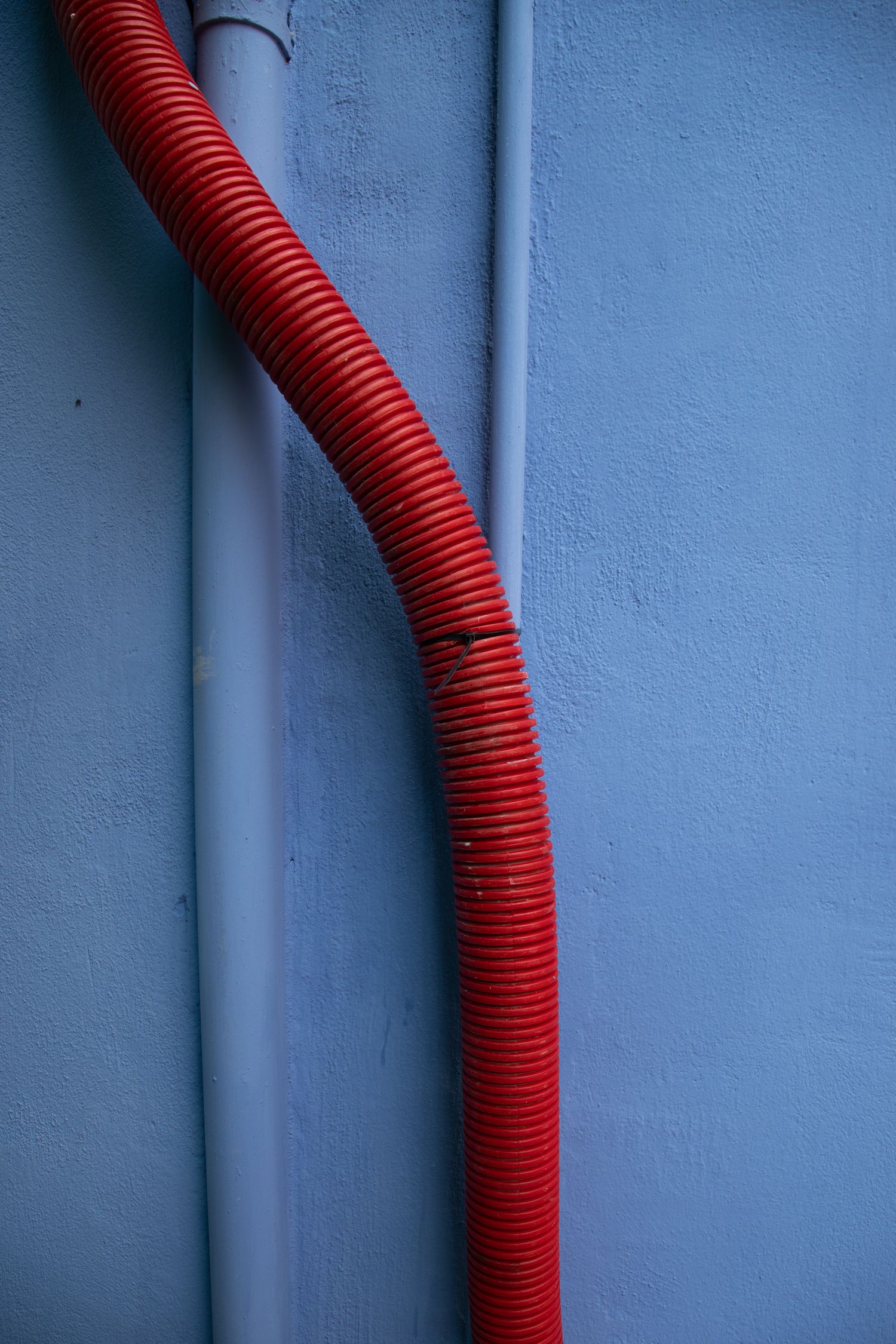 A red corrugated flexible conduit pipe curves against a textured blue painted wall next to a gray drainpipe.