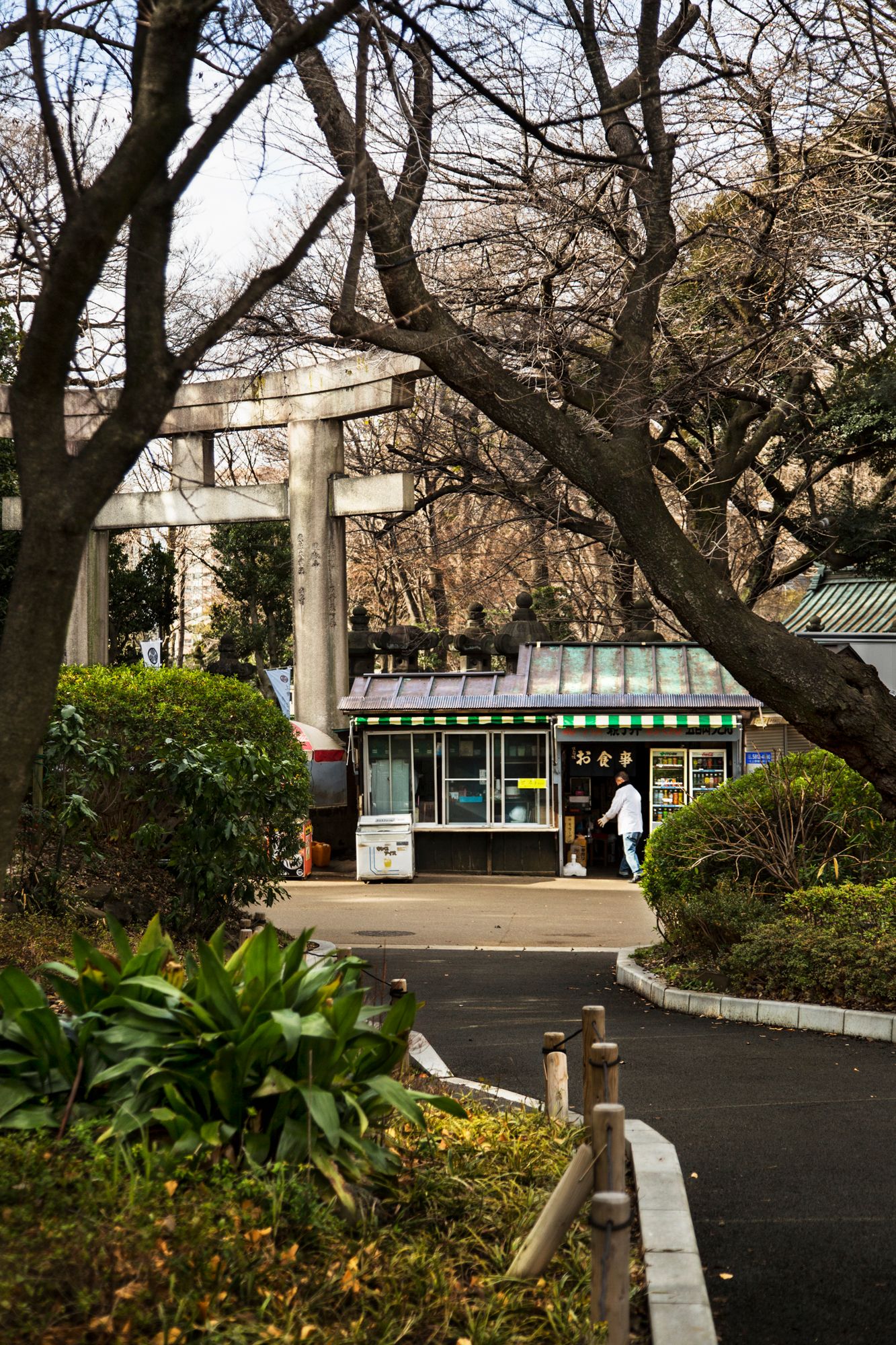 Park entrance with columns and curved walkway surrounded by bare winter trees.