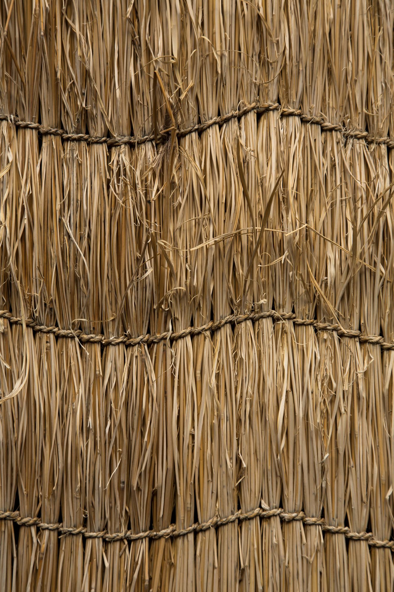 Close-up texture of woven dried palm or reed thatch material with horizontal pattern.