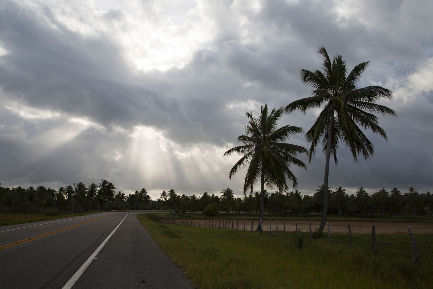 Palm trees silhouetted against stormy tropical sky with paved road stretching into distance.